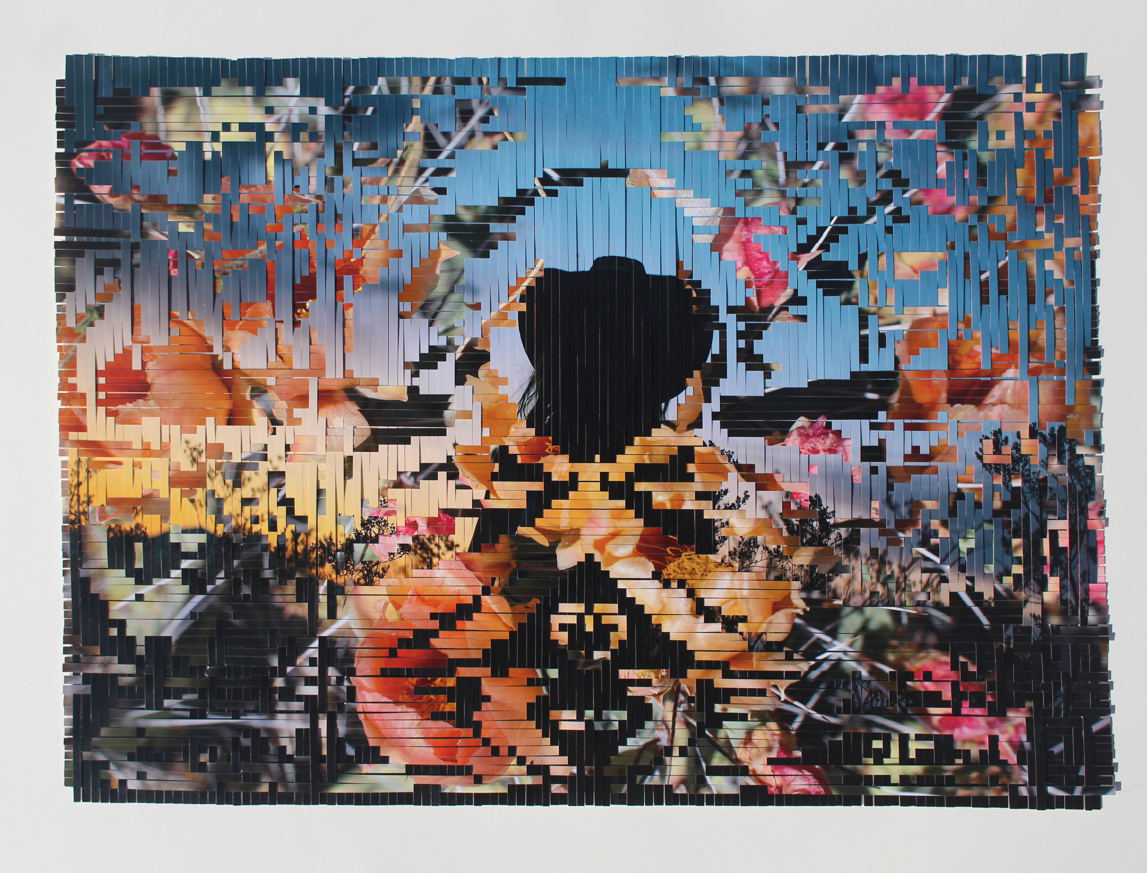 Abstract Collage Mixed Media Painting PhotoArt Weaving 'DESERT LONE STAR' - Metaweave - Hand Cut, Hand Woven Photographs Lala Abaddon