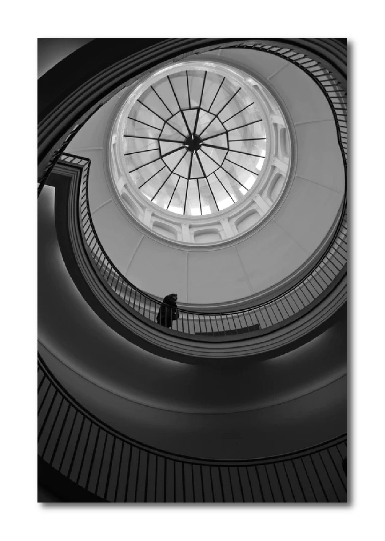 Contemporary Geometric 'ENCIRCLED CONTEMPLATION' Nicola Montfort