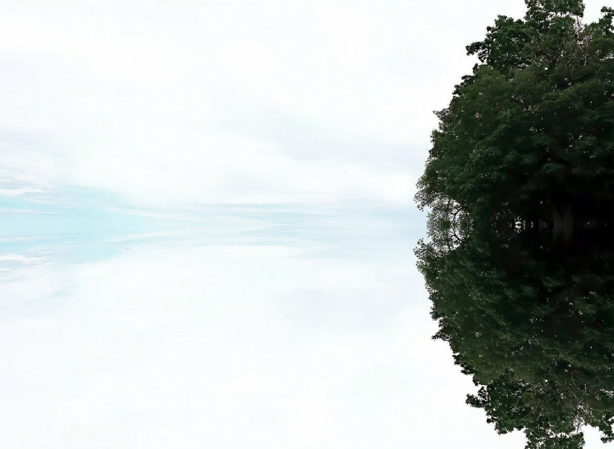Colorized Photography Photography Surrealist Visionary Travel The sky's ,A Tree's Reflections Nicole Martinelli