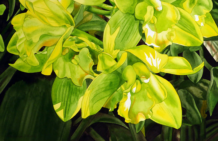 Watercolor Garden Orchid Nature by MJ