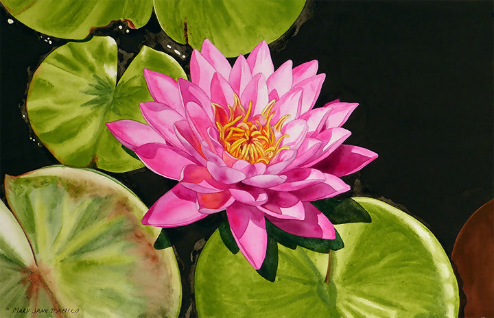 Watercolor Water Lily Nature by MJ