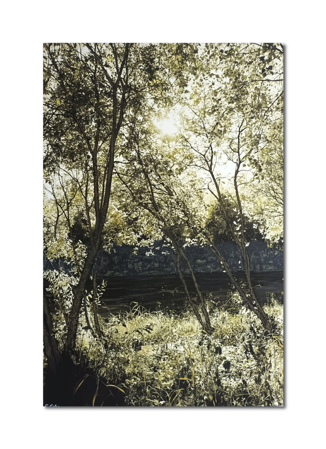 Colorized Photography PhotoArt 'GREEN OCHRE I' Charlotte Eder