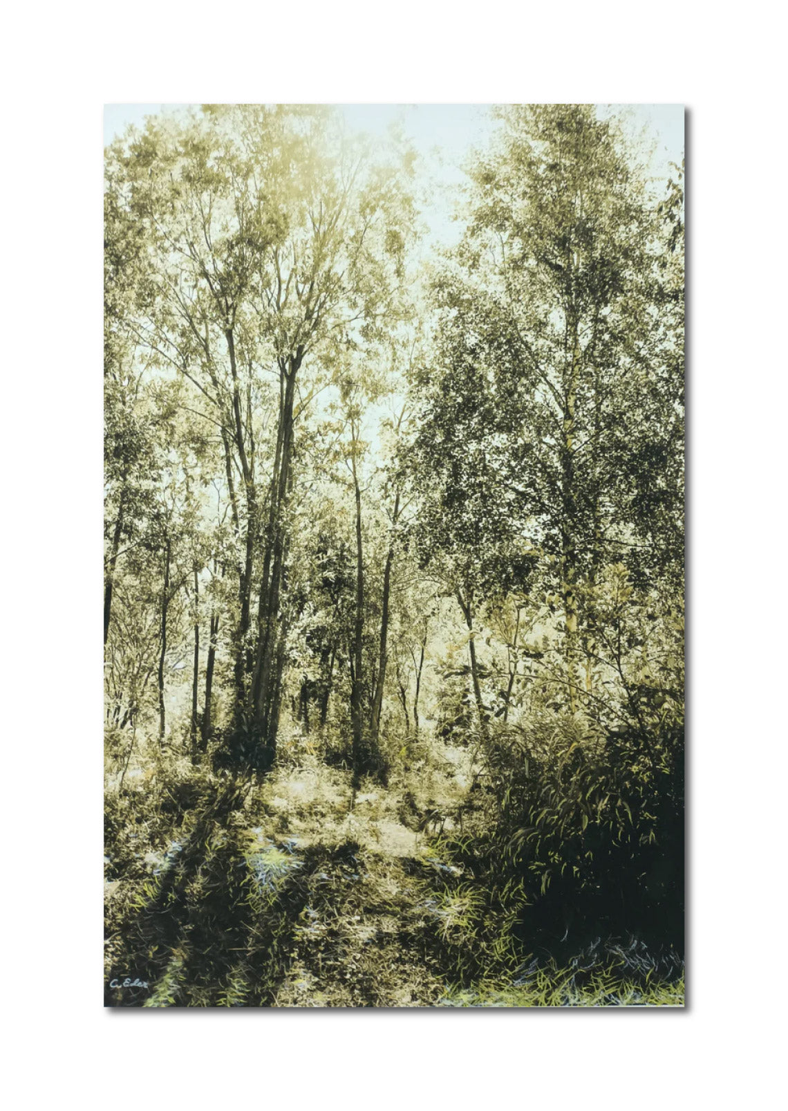 Colorized Photography PhotoArt 'GREEN OCHRE II' Charlotte Eder