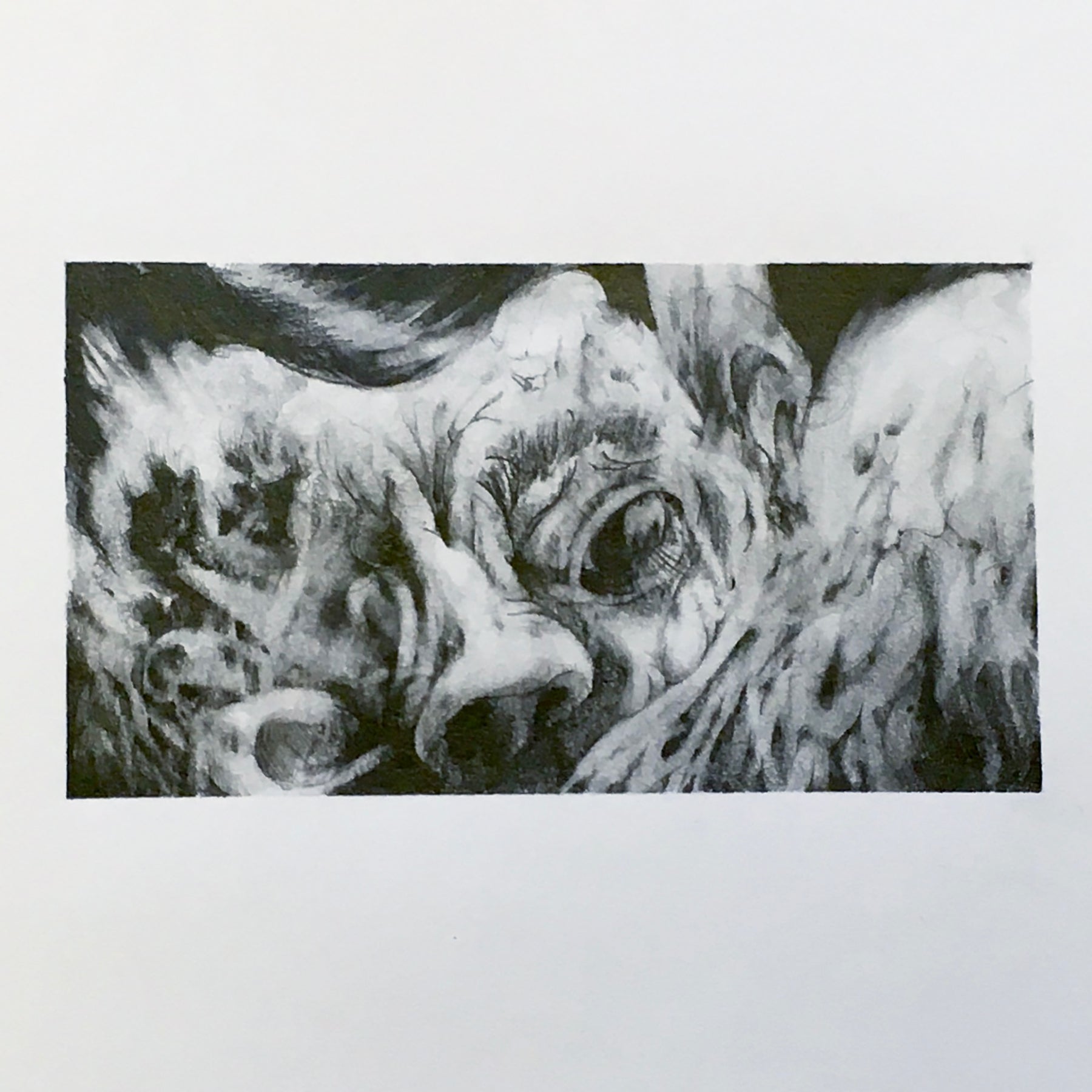 'GENTLE' - Pencil On Paper Ben Finer