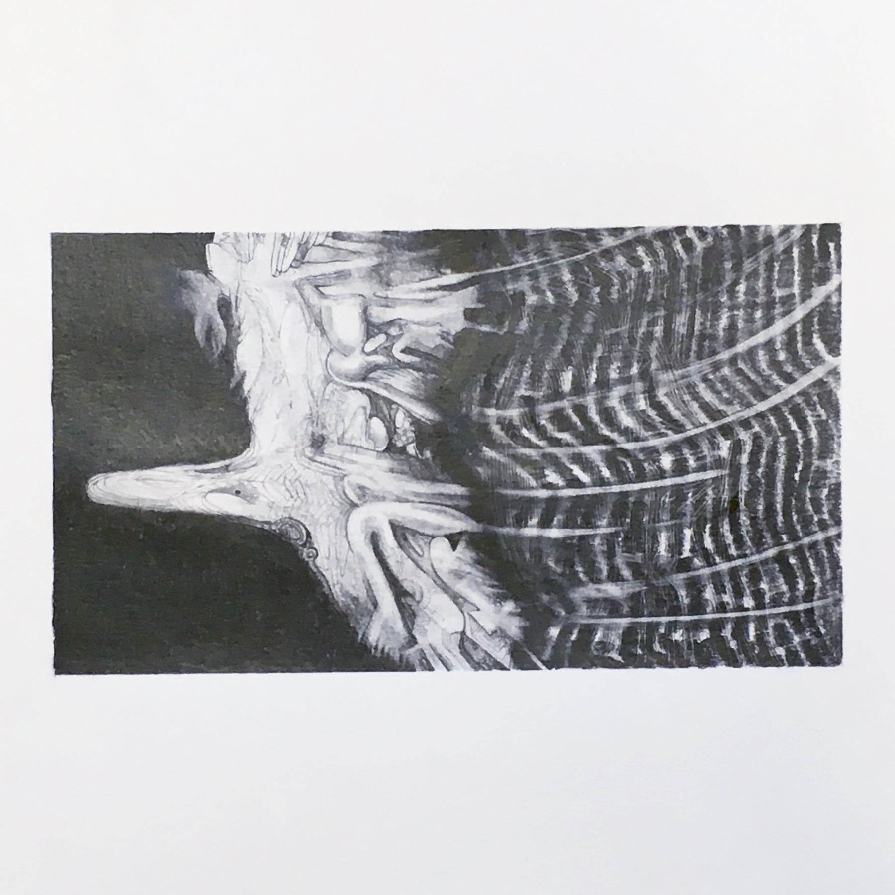 'GEOLOGY' - Pencil On Paper Ben Finer