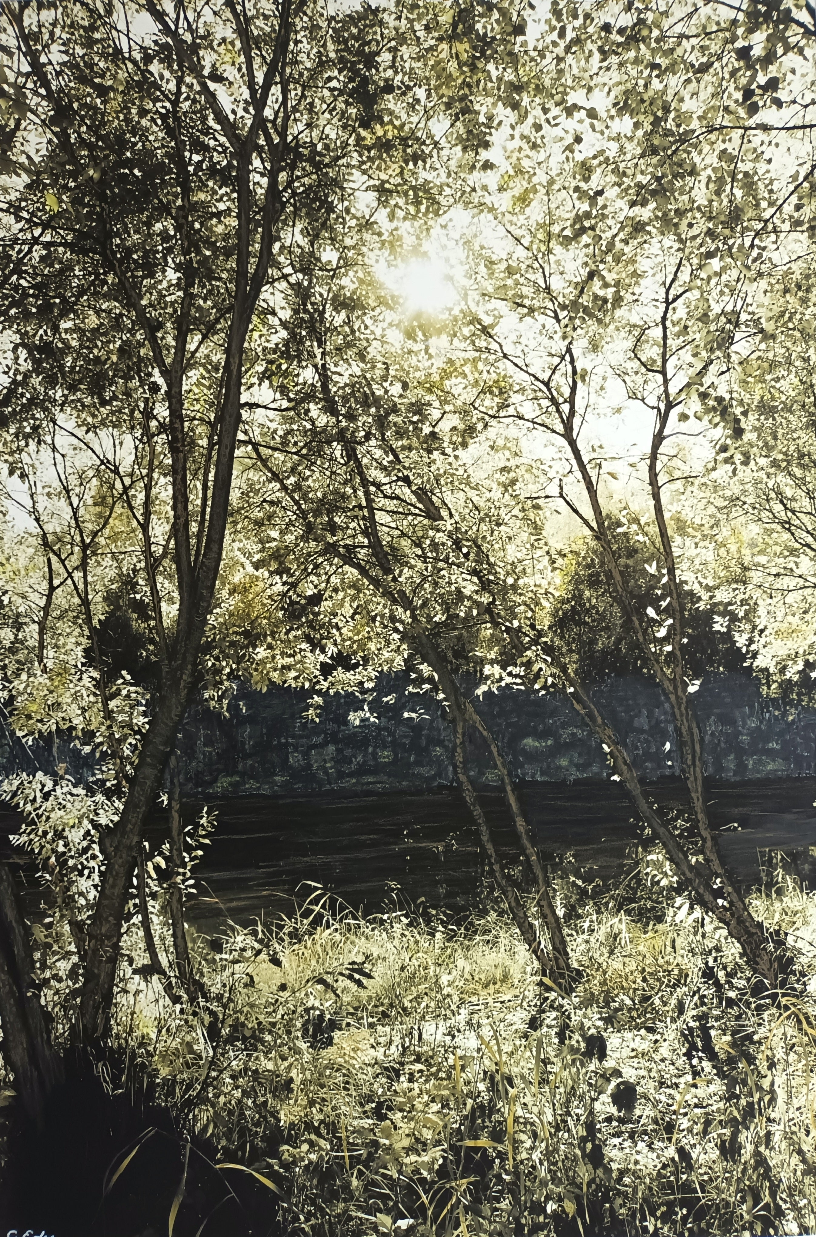 Colorized Photography PhotoArt 'GREEN OCHRE I' Charlotte Eder