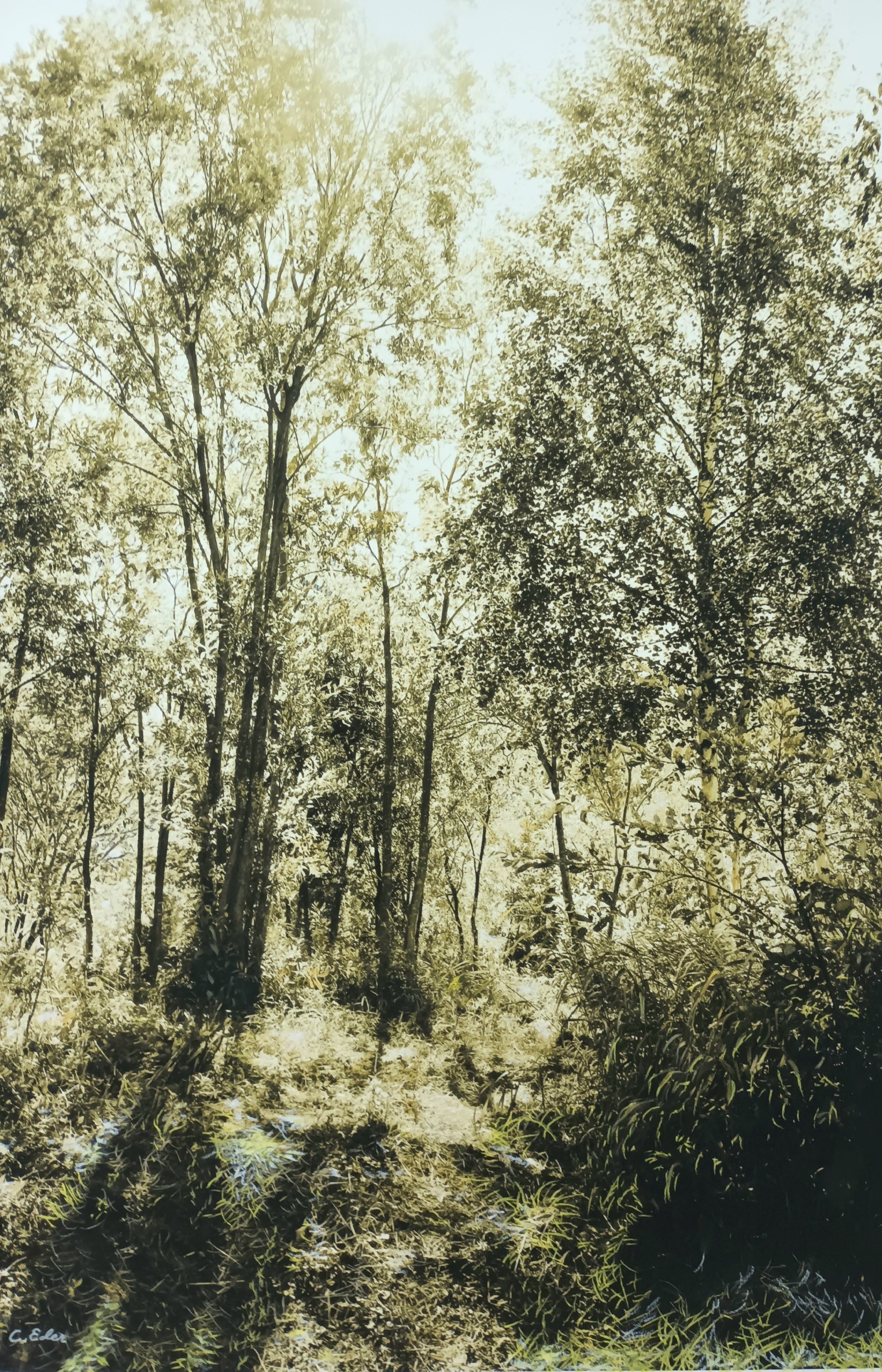 Colorized Photography PhotoArt 'GREEN OCHRE II' Charlotte Eder