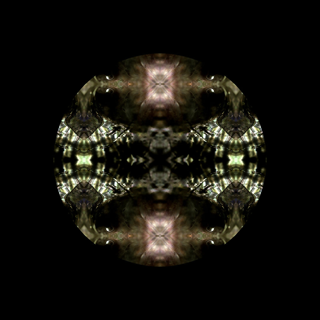 Contemporary Geometric Photography Black Star I St.John Fuller