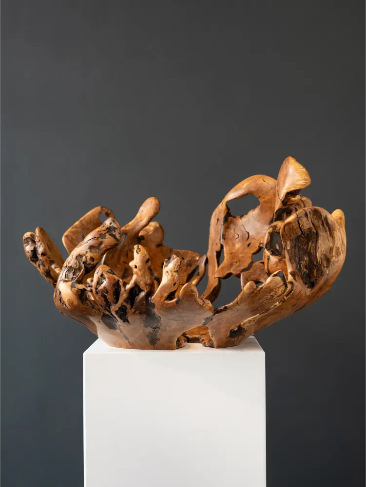 wood 'WILD OLIVE ROOT' Rodney Band