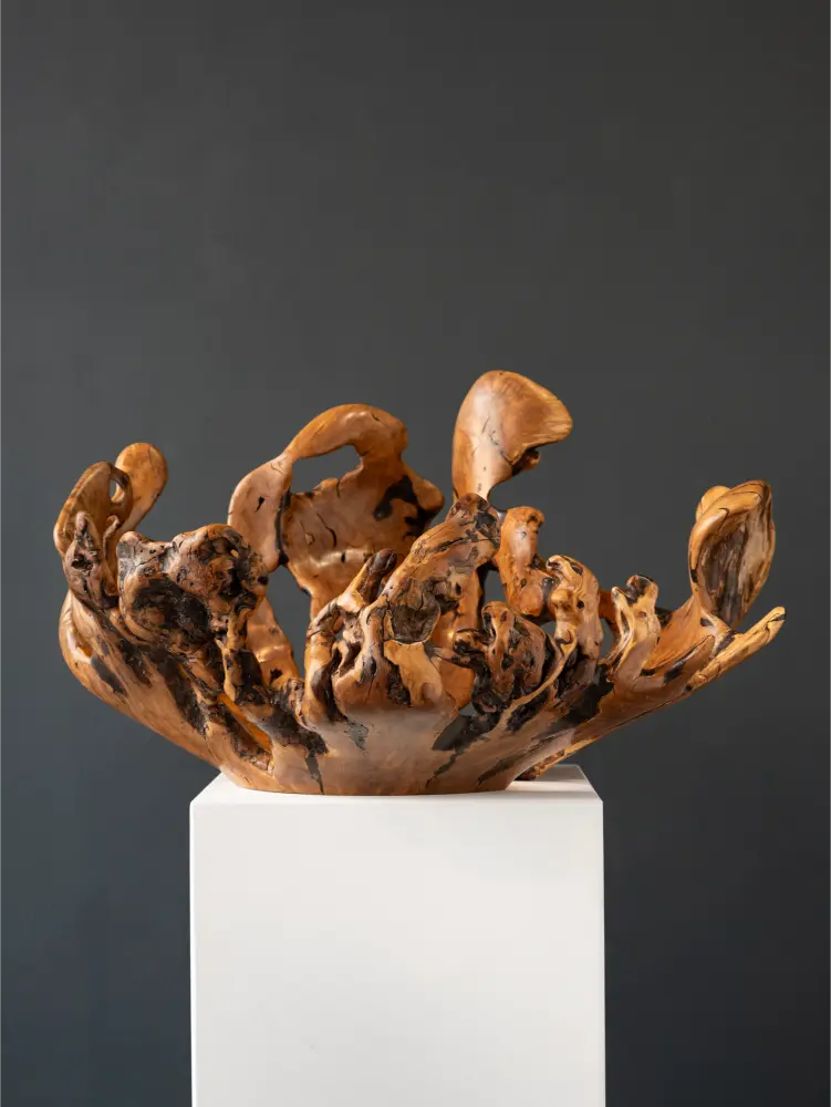 wood 'WILD OLIVE ROOT' Rodney Band