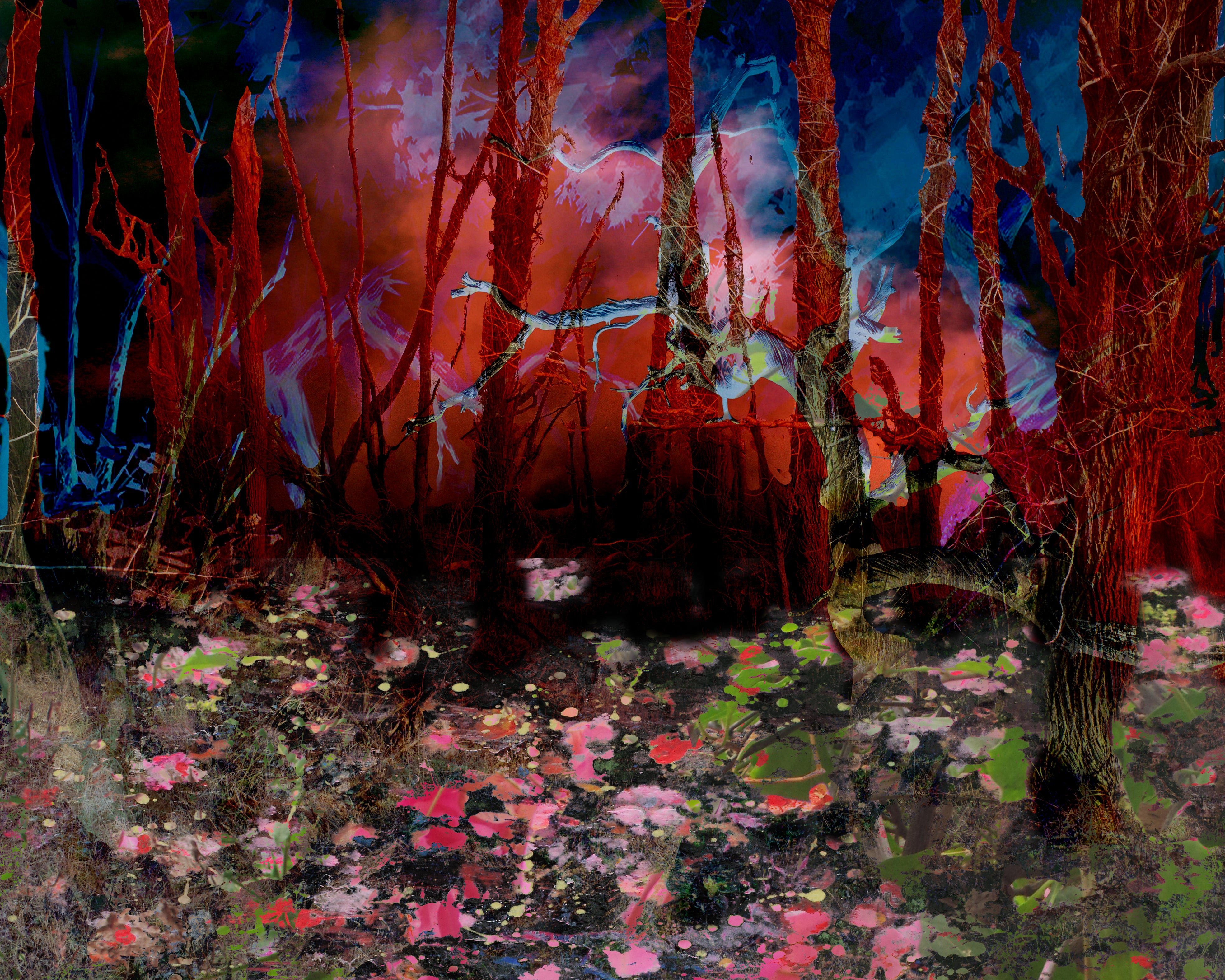 Liberation of the mind 243 Geert Lemmers