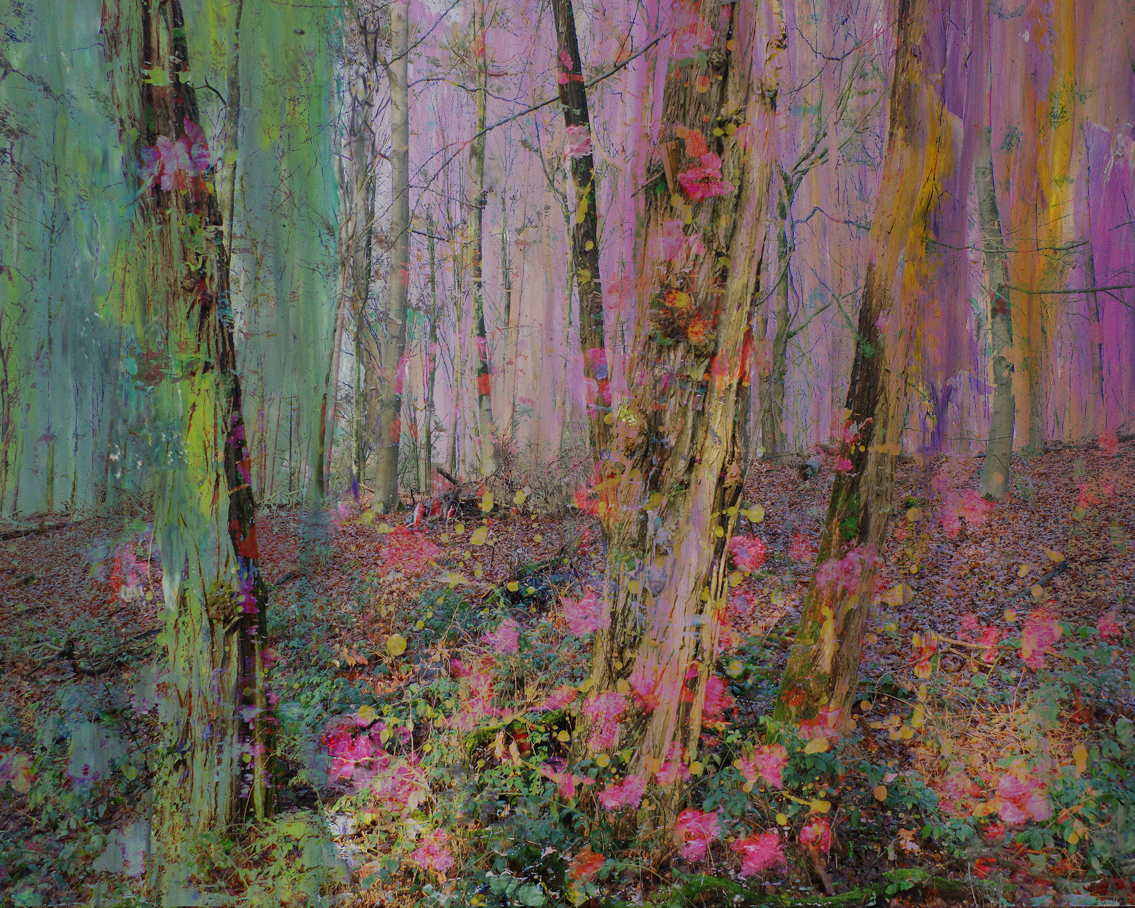 Magical nature opus 90 Geert Lemmers