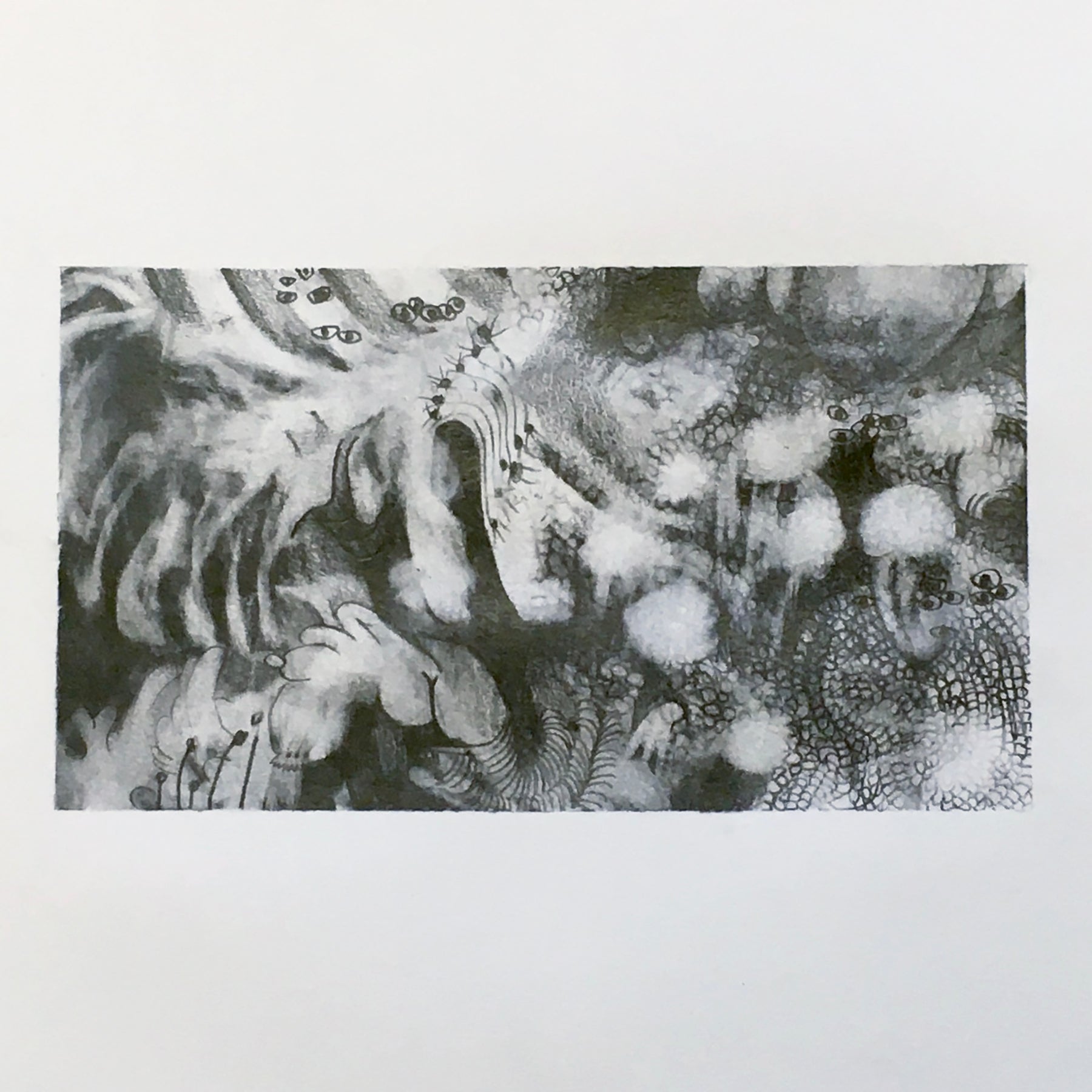 'MEADOW' - Pencil on Paper Ben Finer