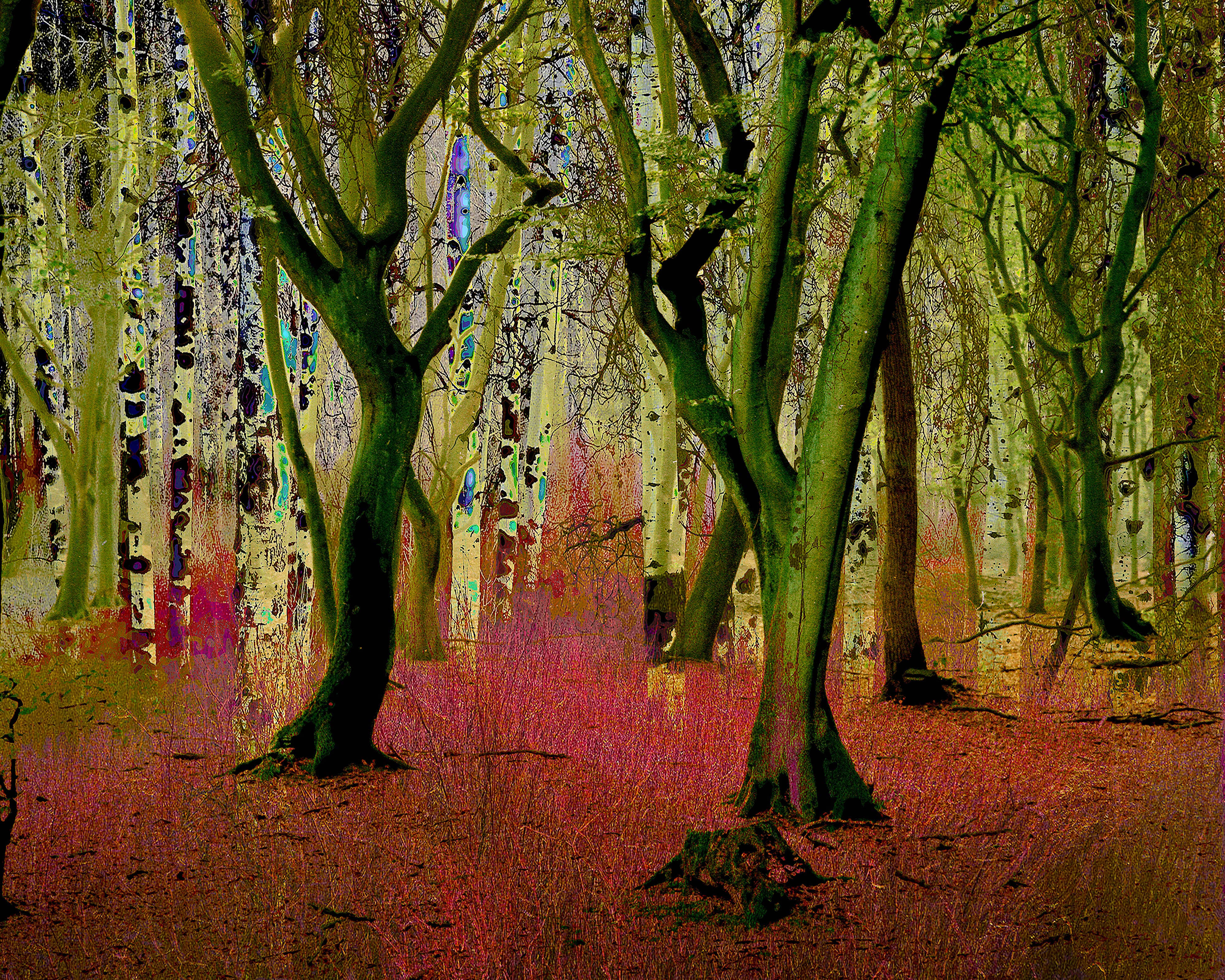 'MYSTIFYING FORREST 78'