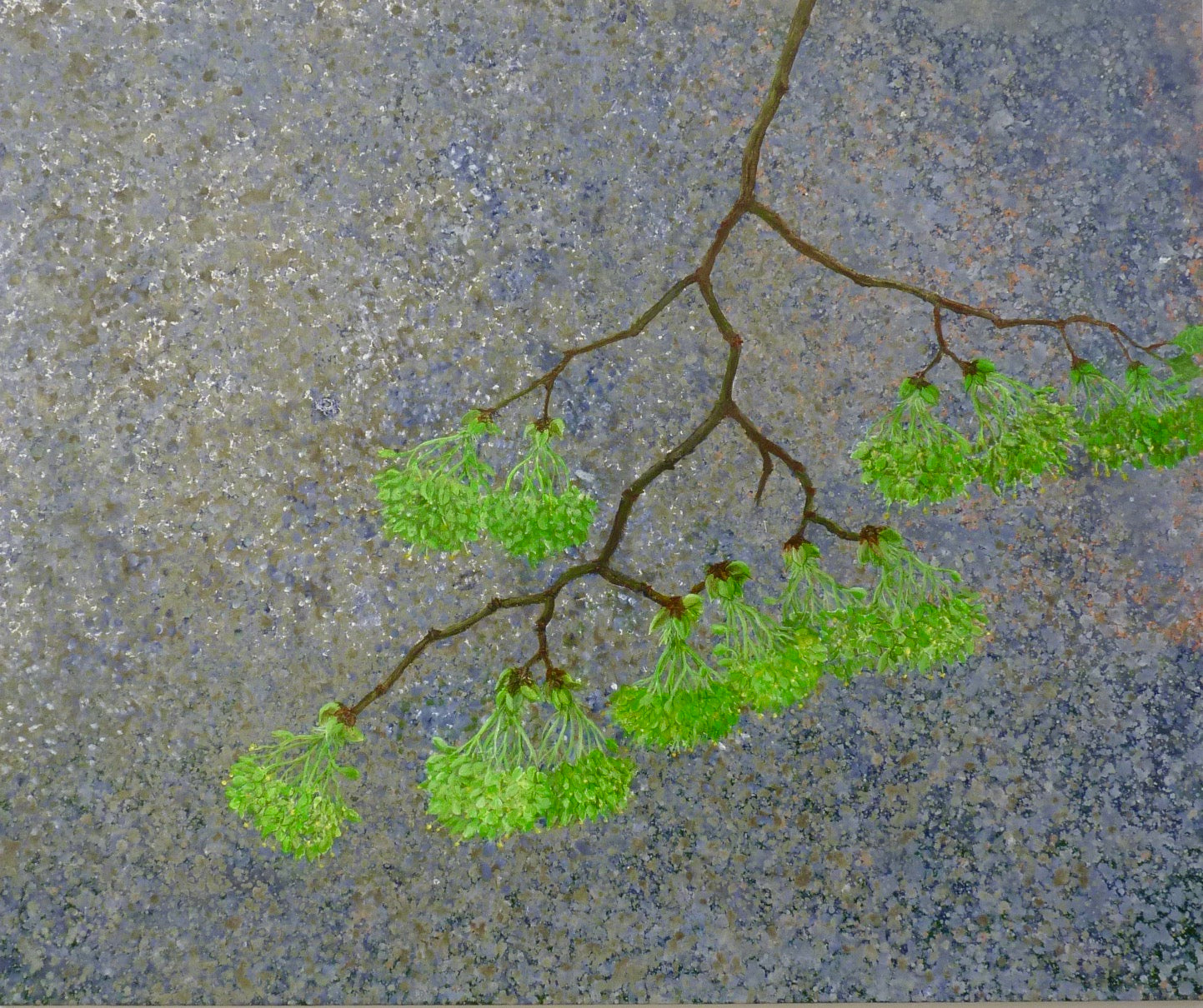 Contemporary 'SPRING RAIN' - Acrylic Paint on Canvas Stephen Barber