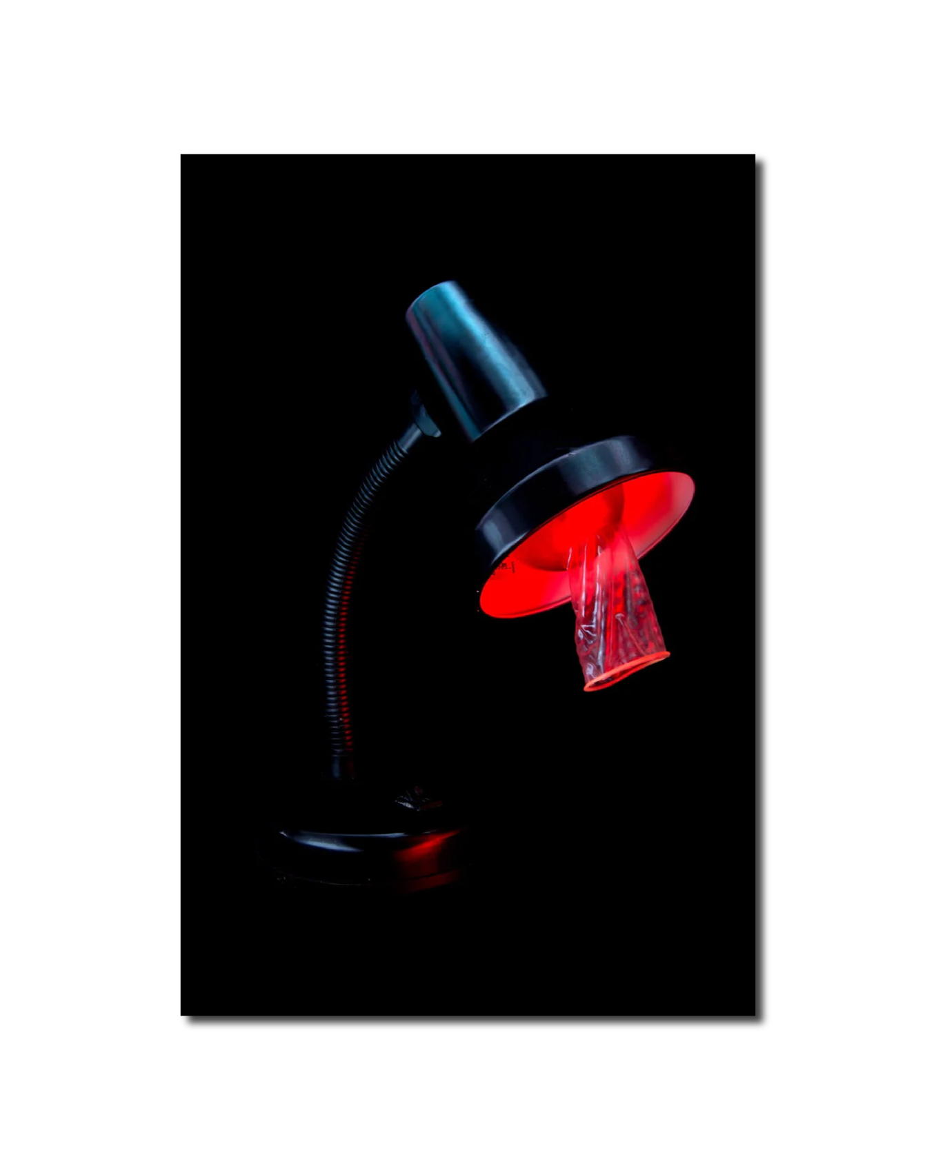 Garnet 12th of February 2019 (21:04:36) William Joe Josephs Radford