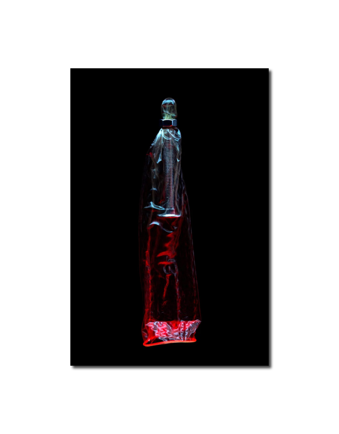 Garnet 12th of February 2019 (20:38:02) William Joe Josephs Radford