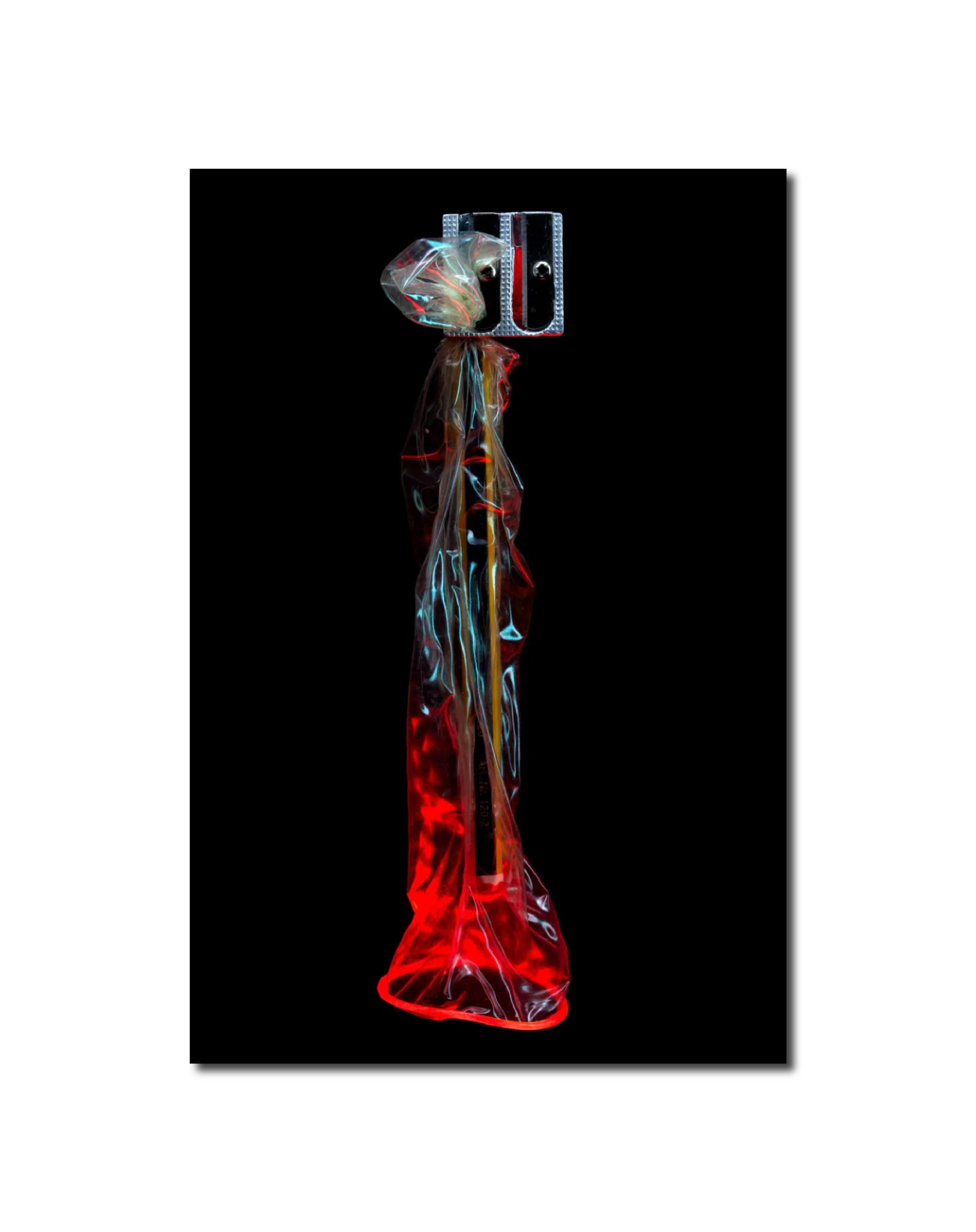 Garnet 12th of February 2019 (18:11:06) William Joe Josephs Radford