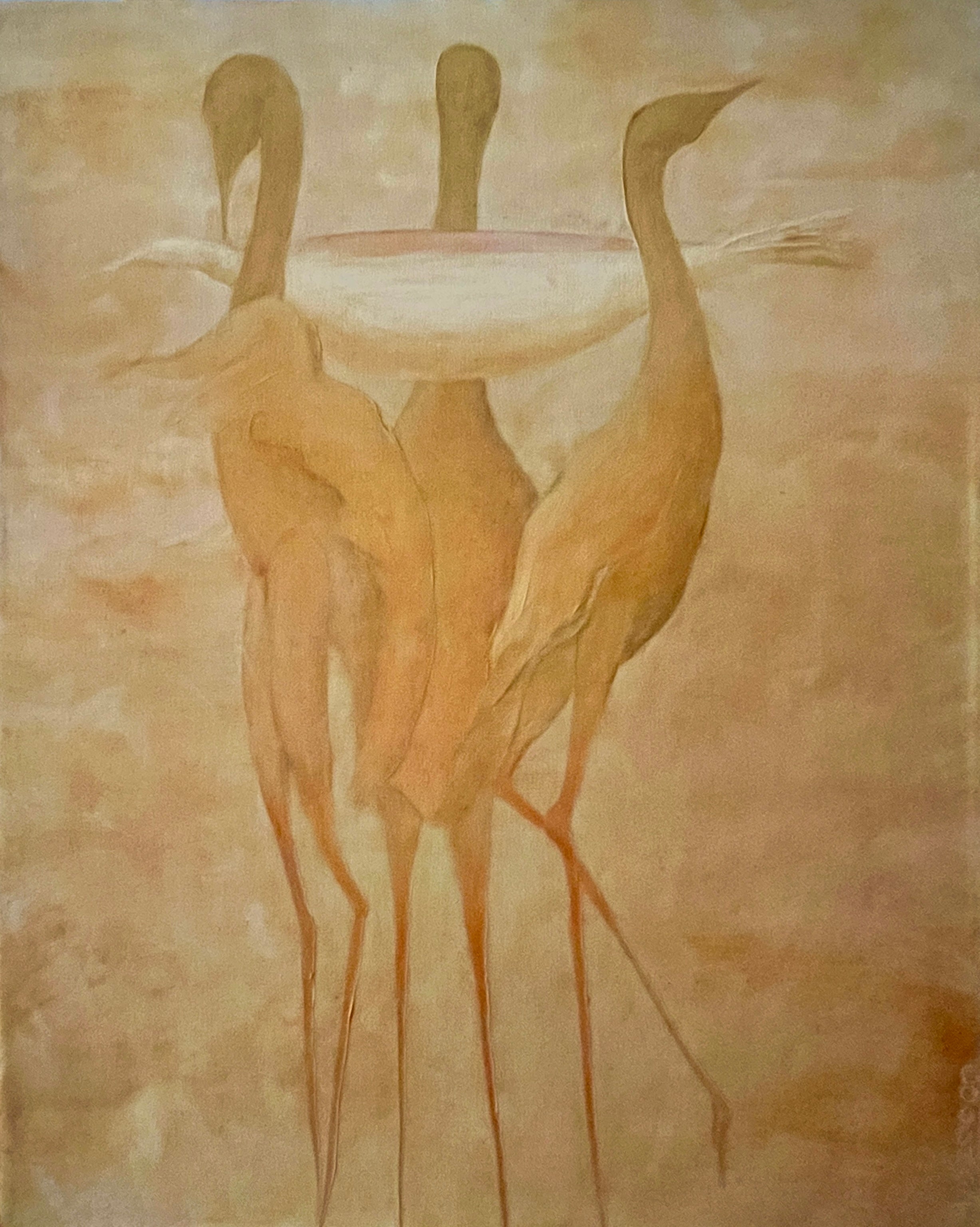 Oil 'PERIRRHANTERION, WHITE DOVE' - Oil on Canvas Laurie Goodhart