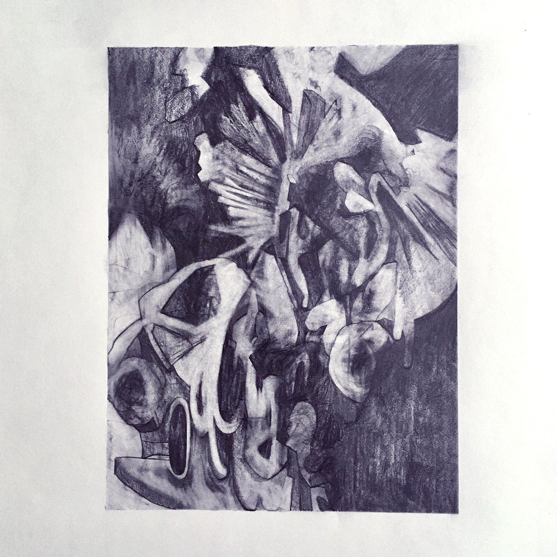 'SHELL' - Pencil on Paper Ben Finer