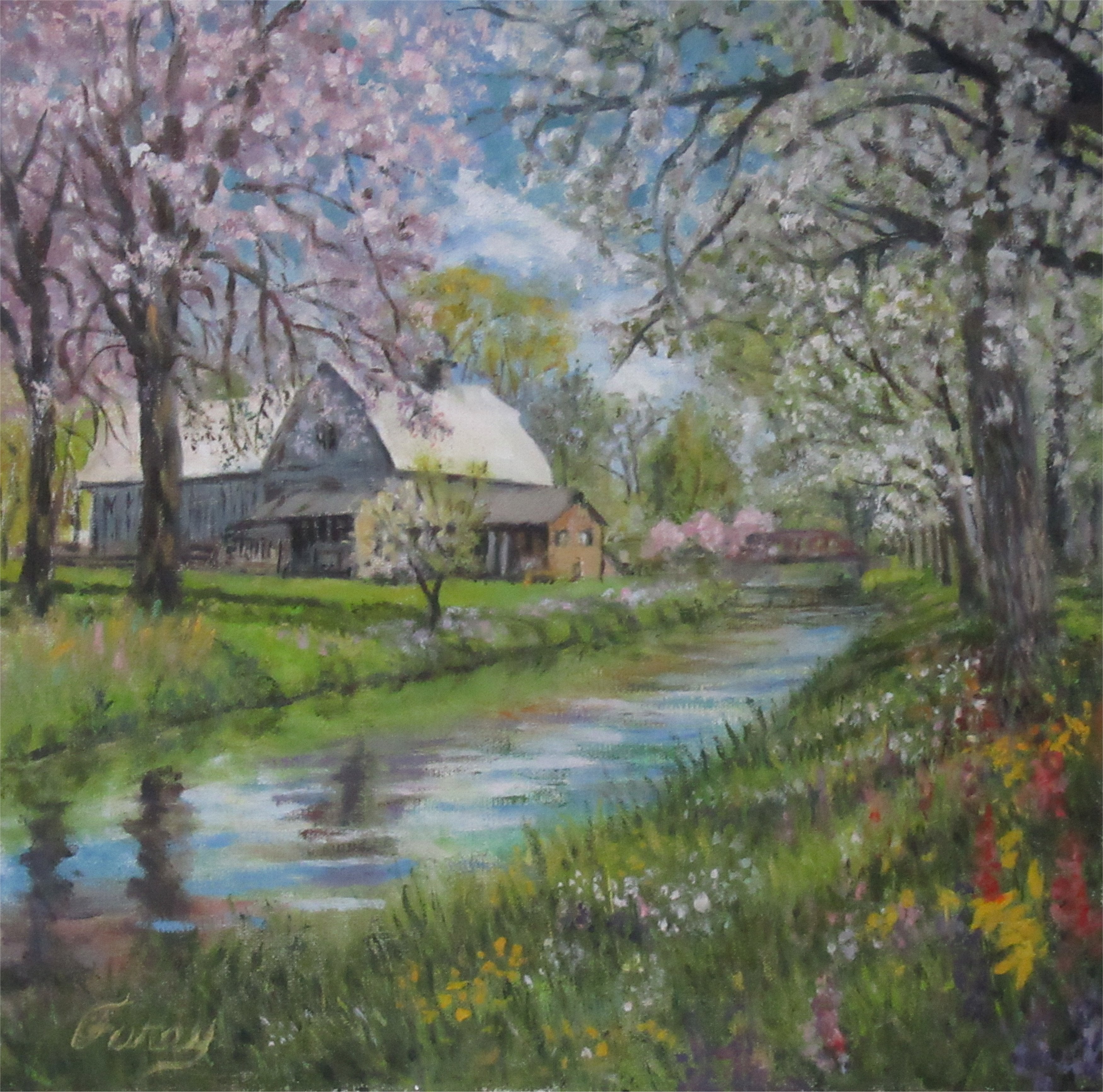 Spring Farm Tom Furey