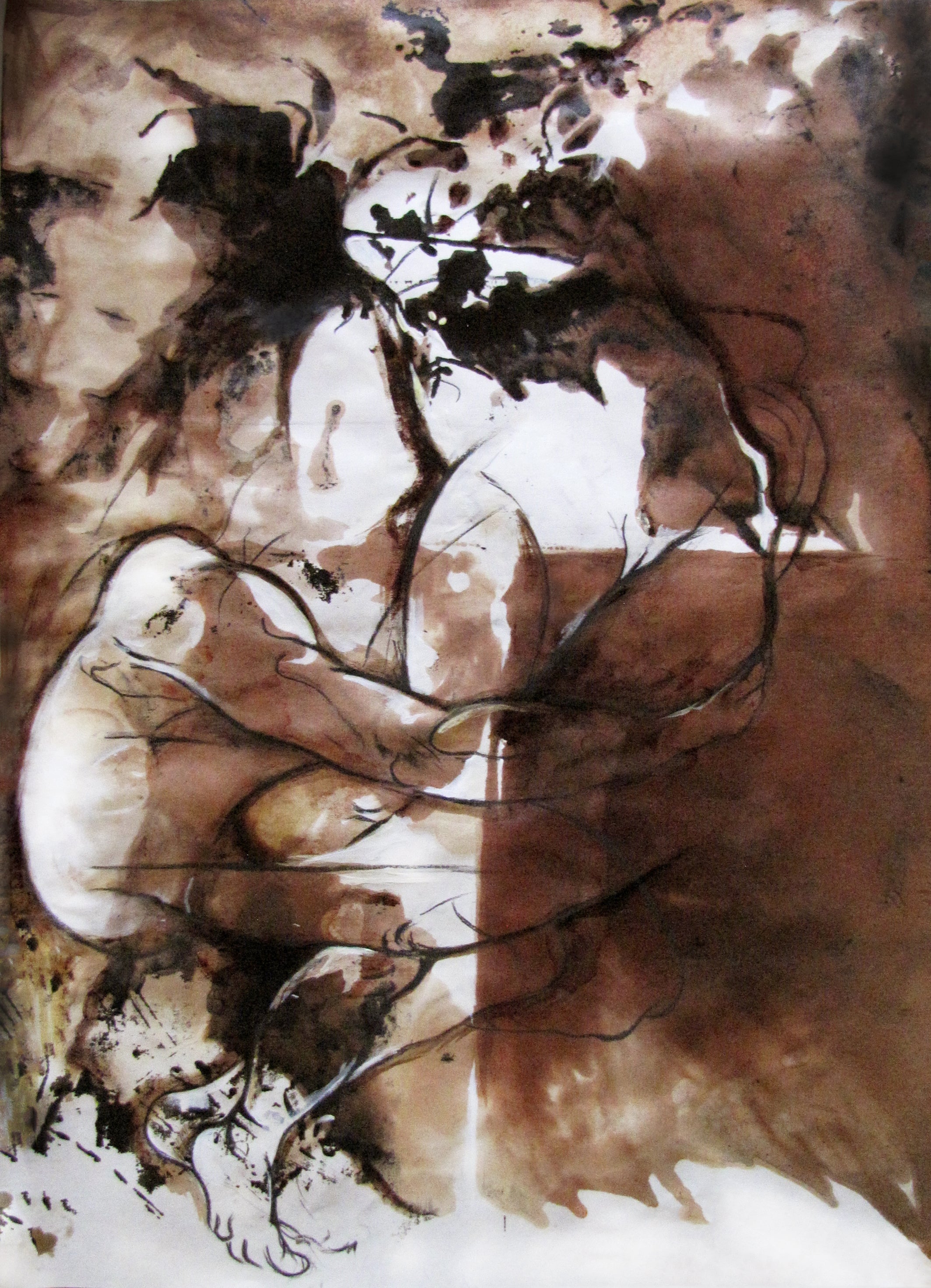 Sublimation Sanaz Haeri