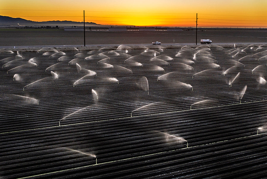 Pacific Beach Rental, WA. Robert Hansen