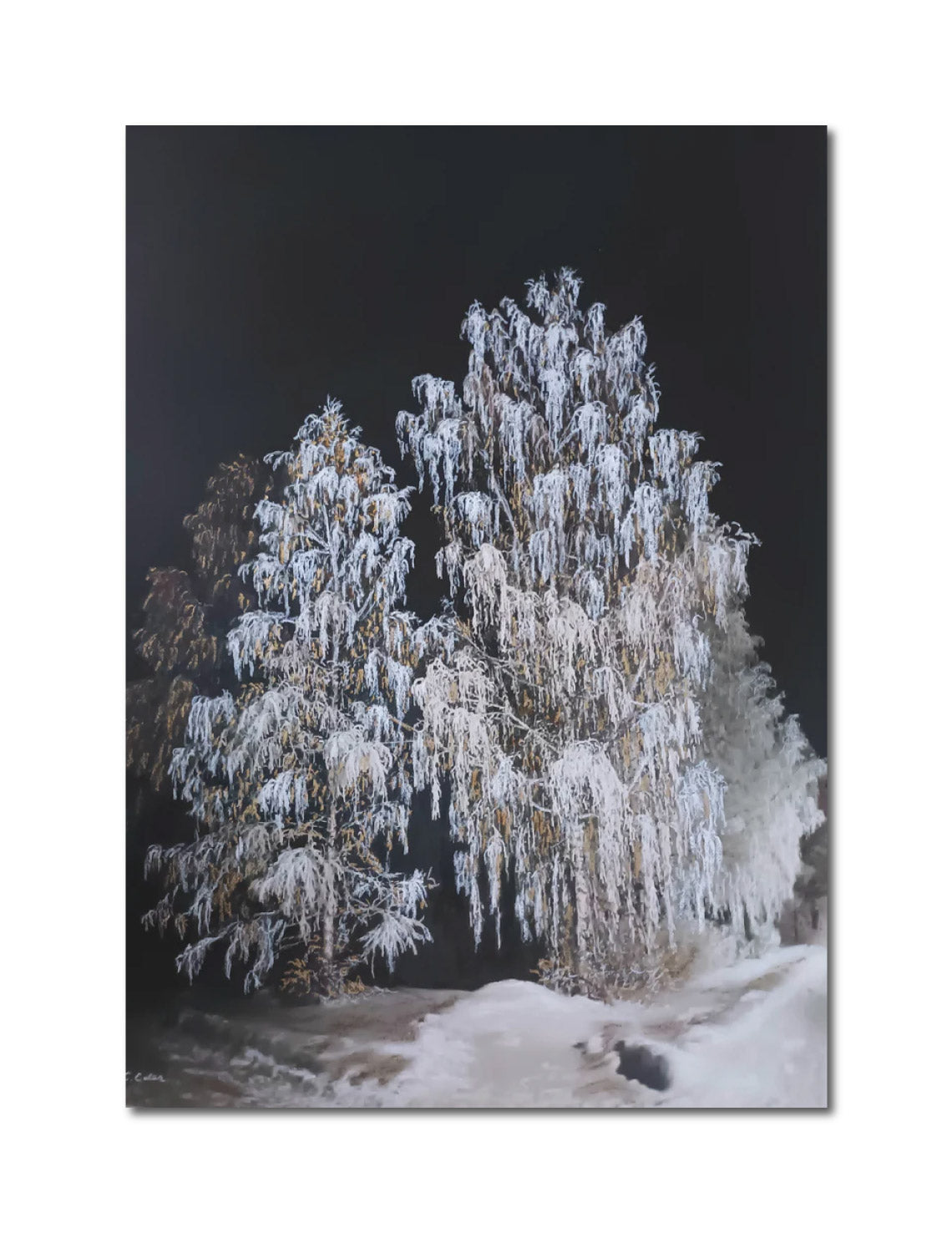 Colorized Photography PhotoArt 'THE CATHEDRAL' Charlotte Eder