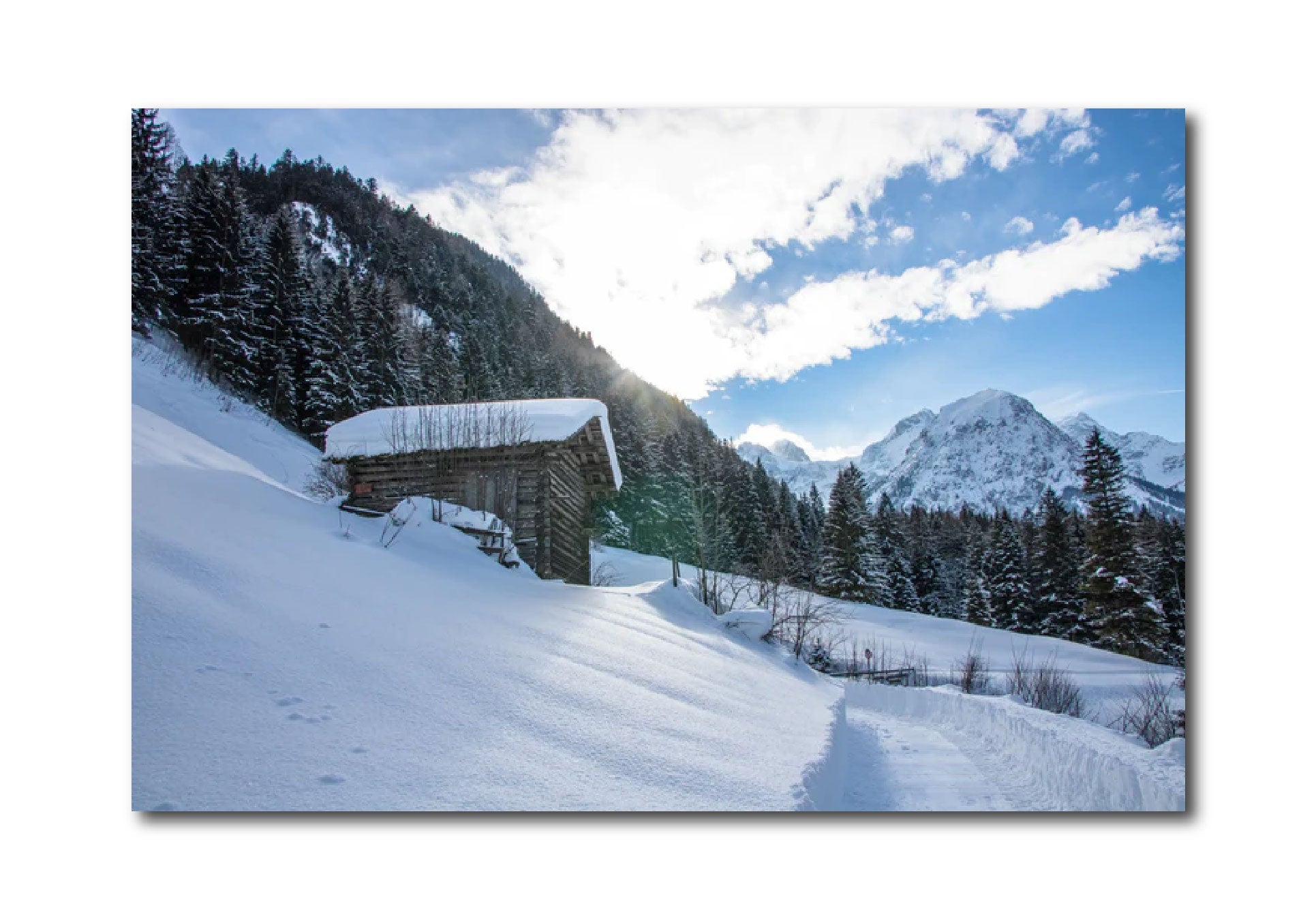 Contemporary Landscape 'WINTER WONDERLAND' Nicola Montfort