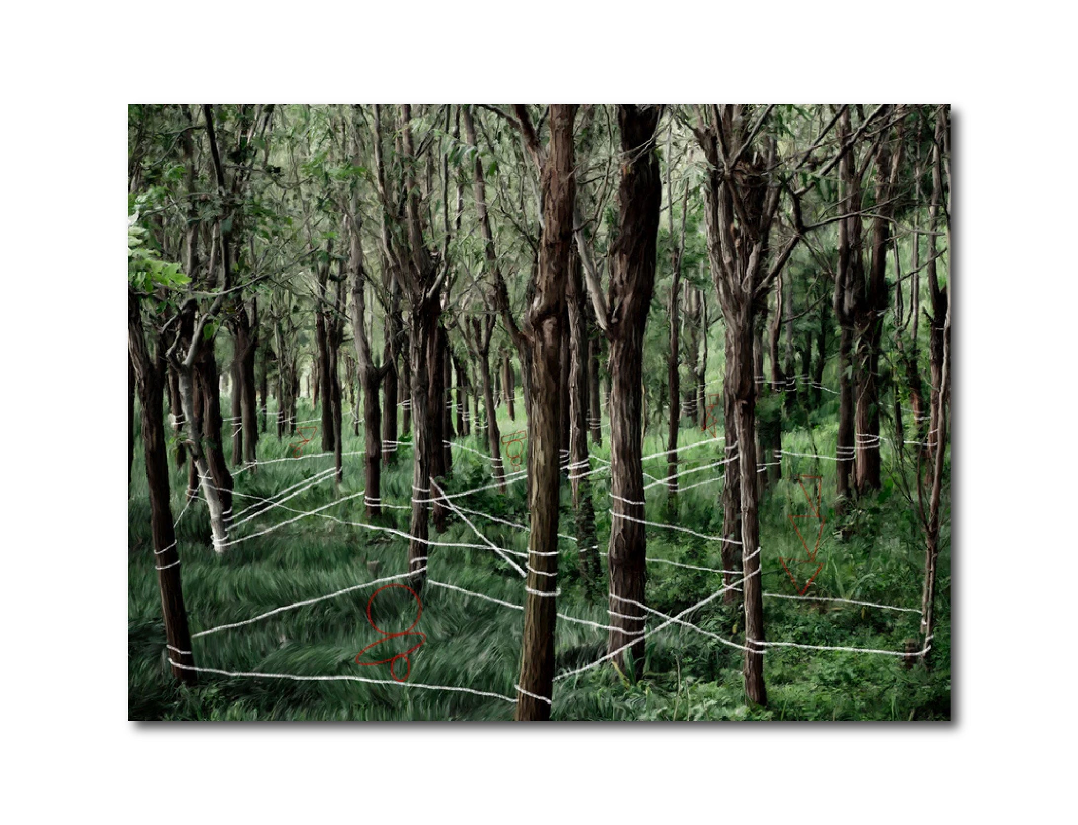 Digital Painting 'THE INNATE WISDOM OF NATURE.' NO.02 Li Zheng