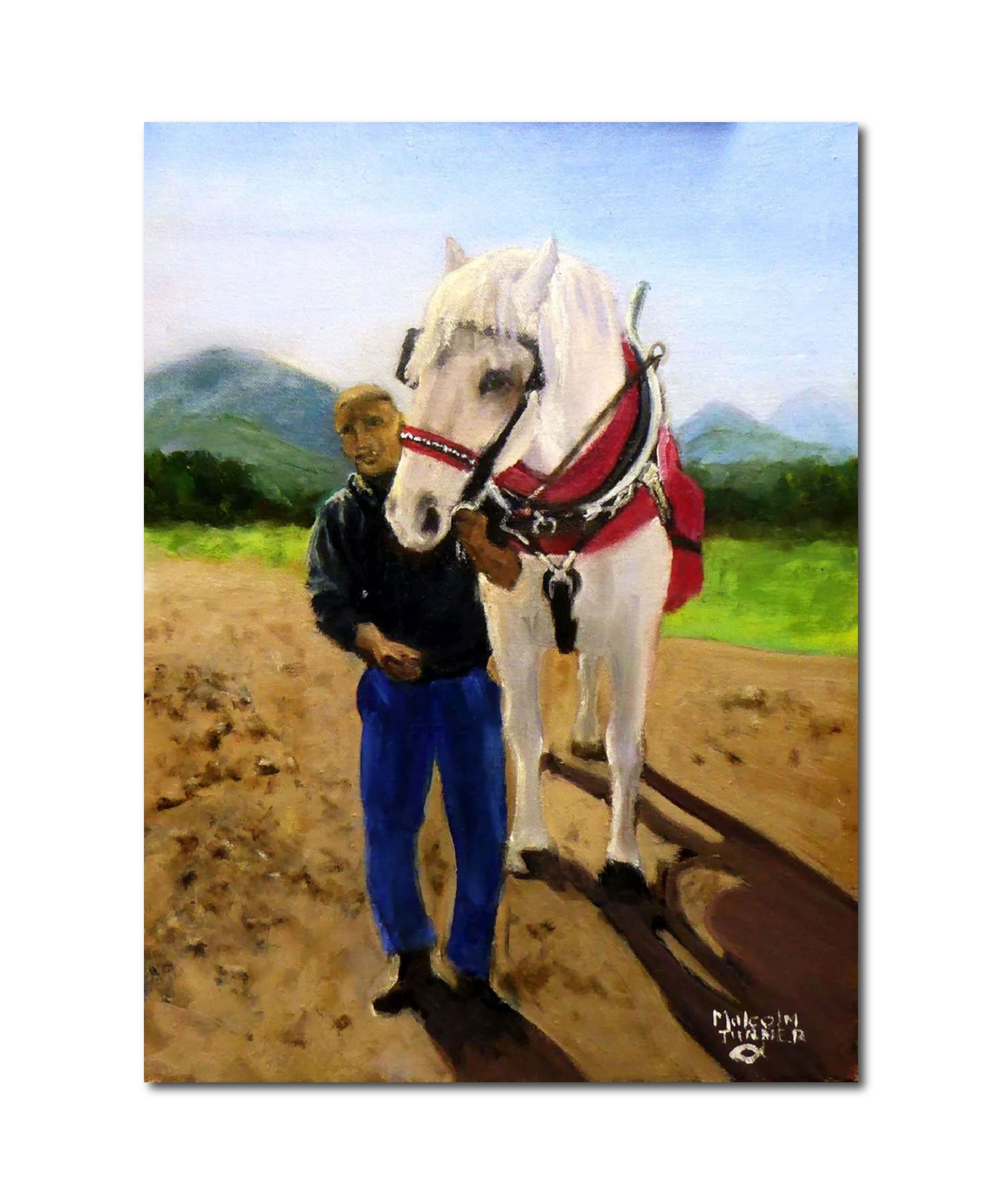 Figurative 'PERCHERON BEAUTY AND CARER' - Oil Painting on Stretched Canvas Malcolm Turner