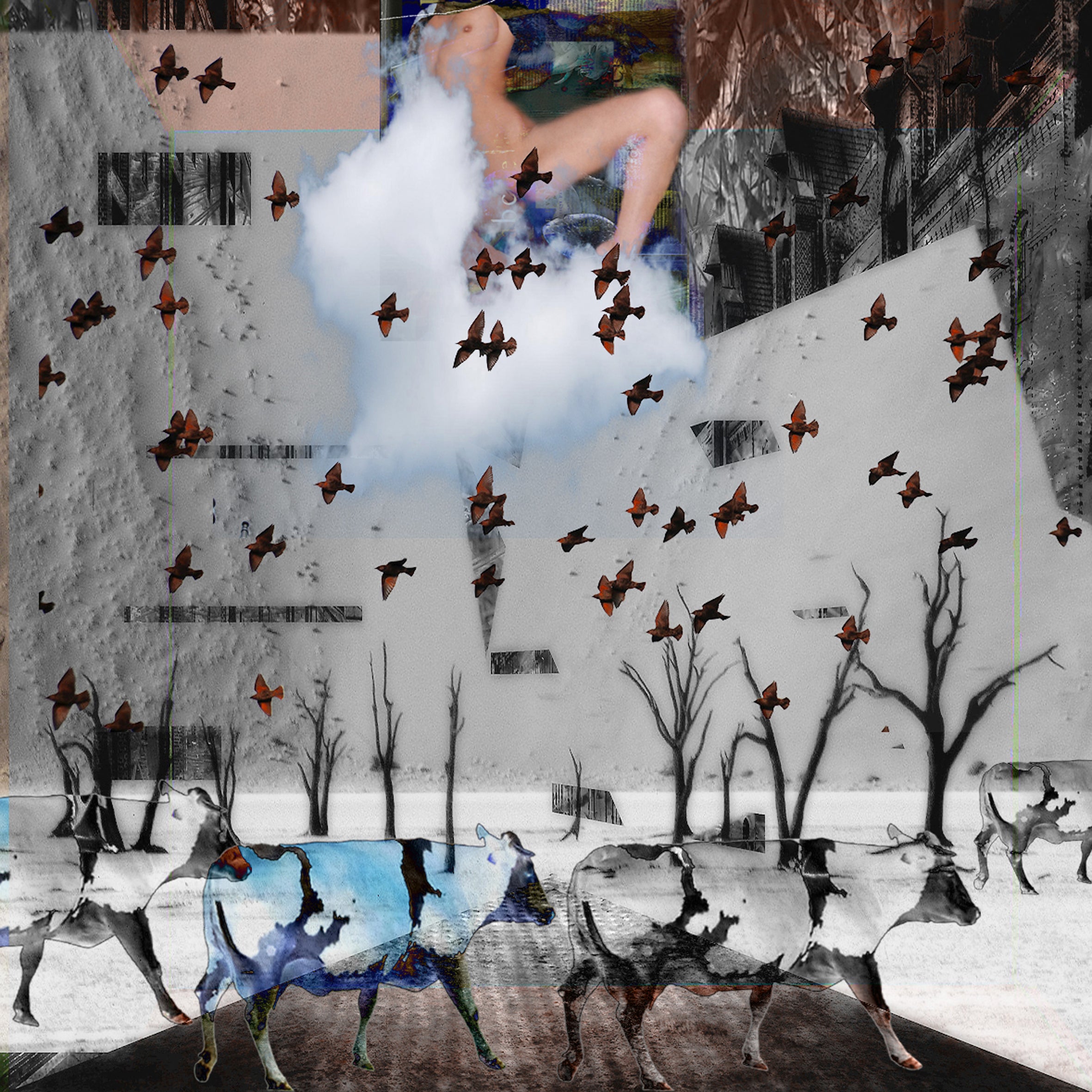 'ADAPTED CULTURE XI'