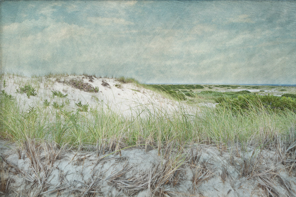 PhotoArt Prints 'BEACH DREAM' Danielle Neumann Kelly