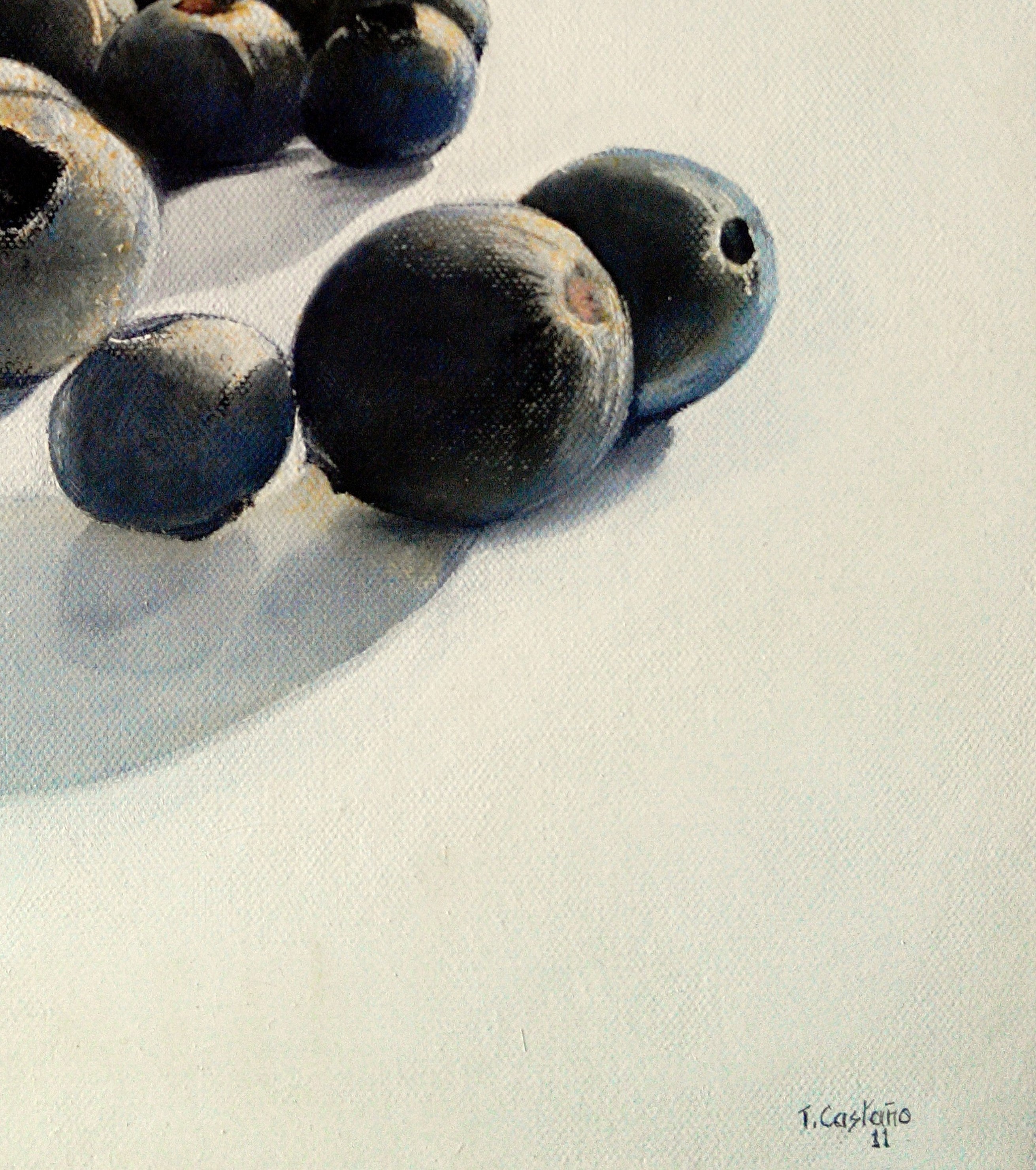Figurative Oil Painting 'BLUEBERRIES' Tomas Castano