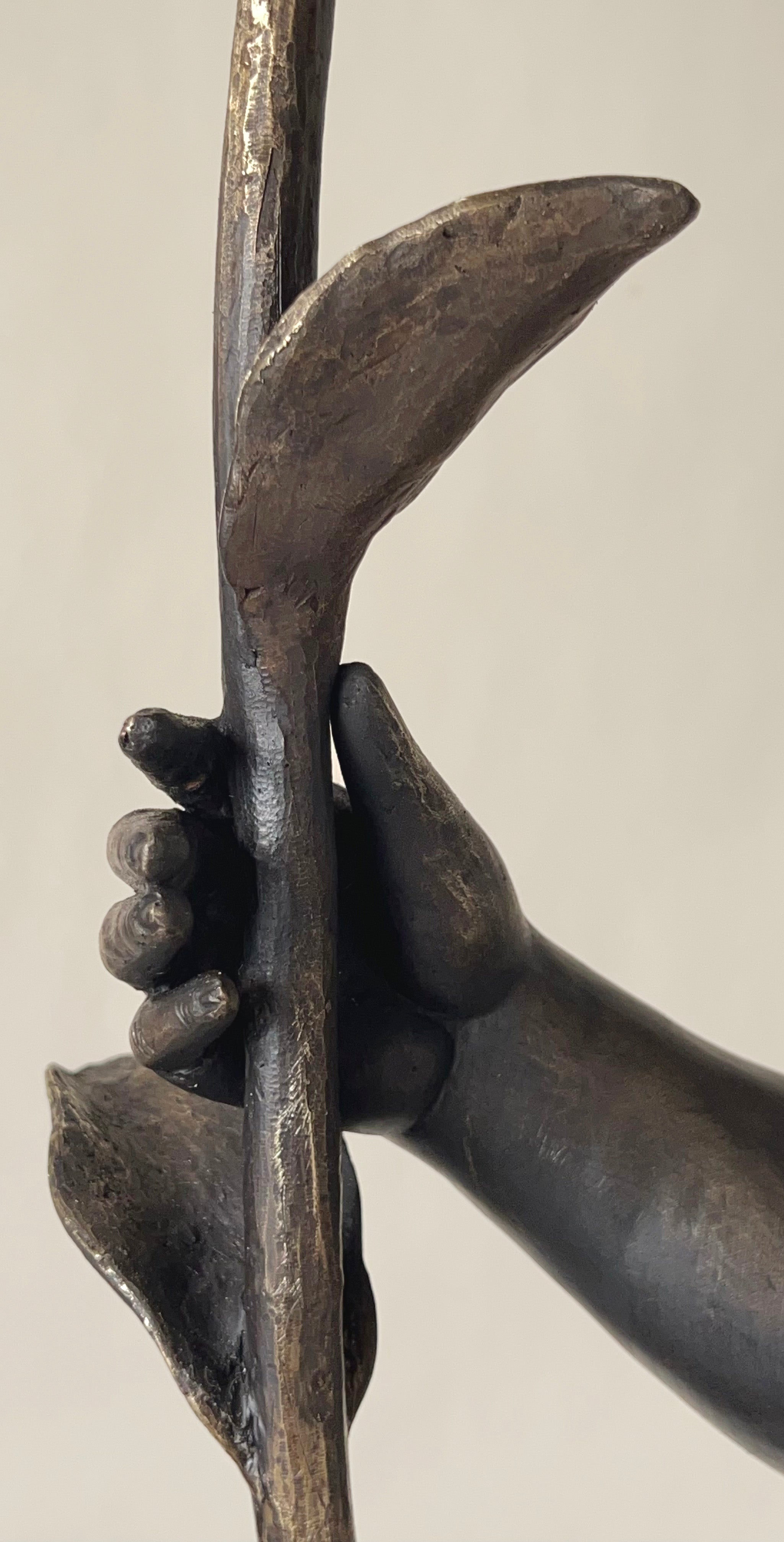 La creación del mundo Francesca Dalla Benetta