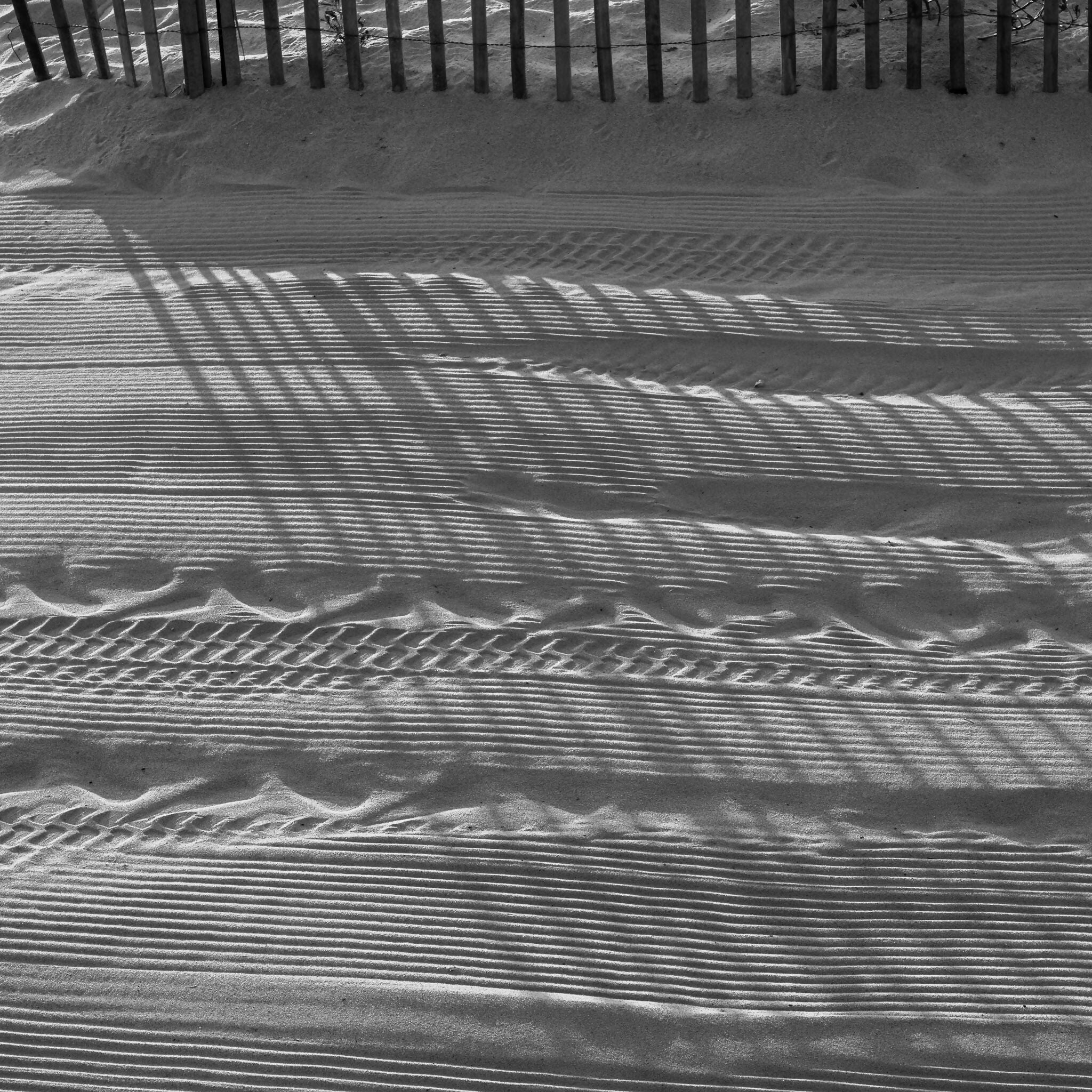 Abstract Landscape Photography Groomed Sand and Dune Fence Shadow John Lehet
