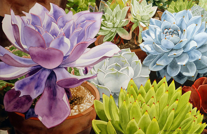 Watercolor Succulents Nature by MJ
