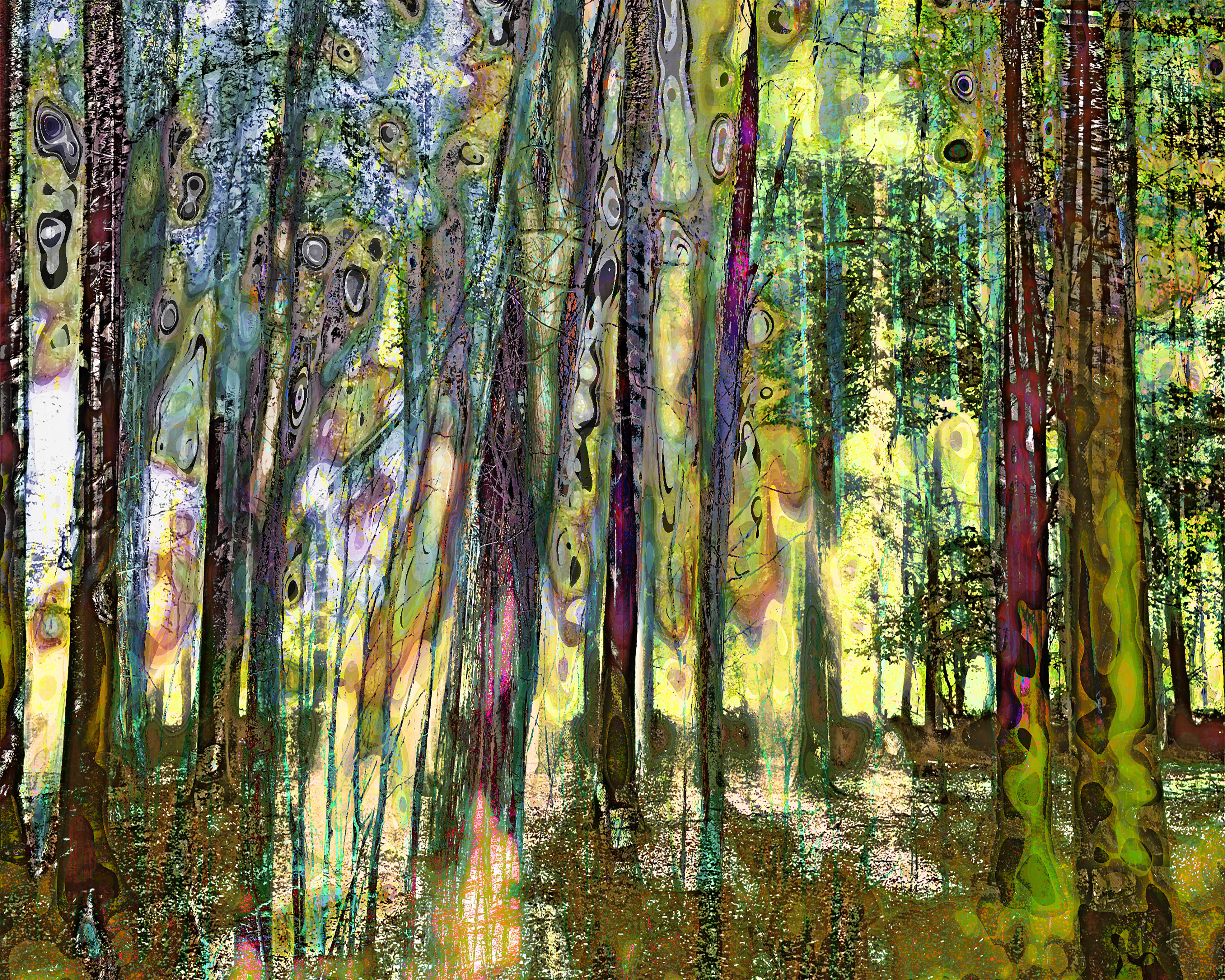 'MYSTIFYING FOREST OPUS 17'