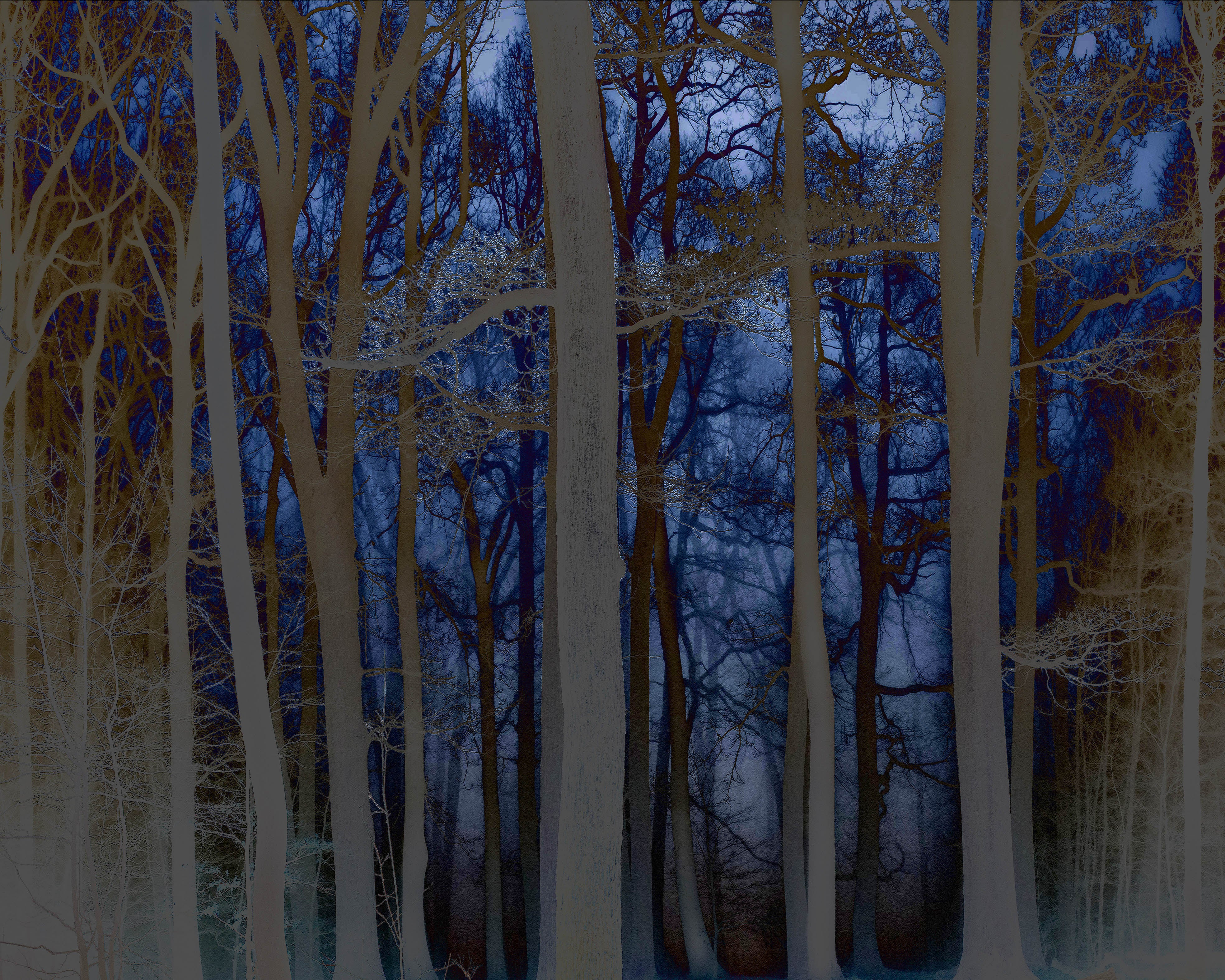 'NATURAL WOOD LIGHT 278'