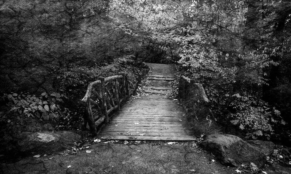 PhotoArt Prints 'PARK PATH' Danielle Neumann Kelly