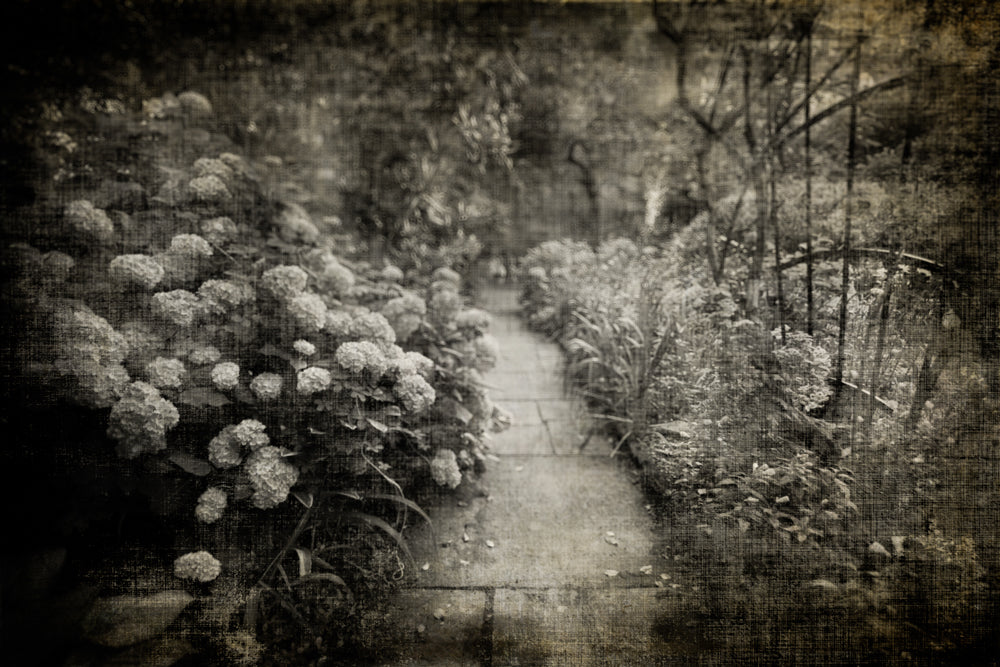 PhotoArt Prints 'PARK PATH 2' Danielle Neumann Kelly