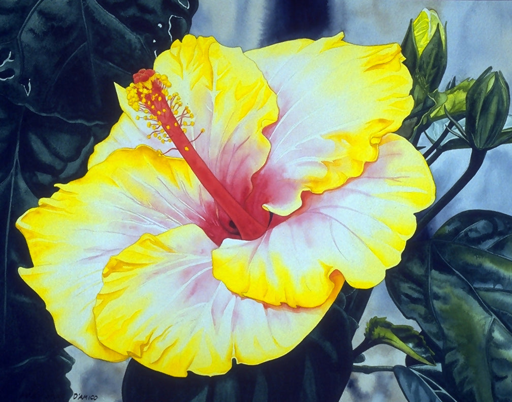 Watercolor Yellow Hibiscus Nature by MJ