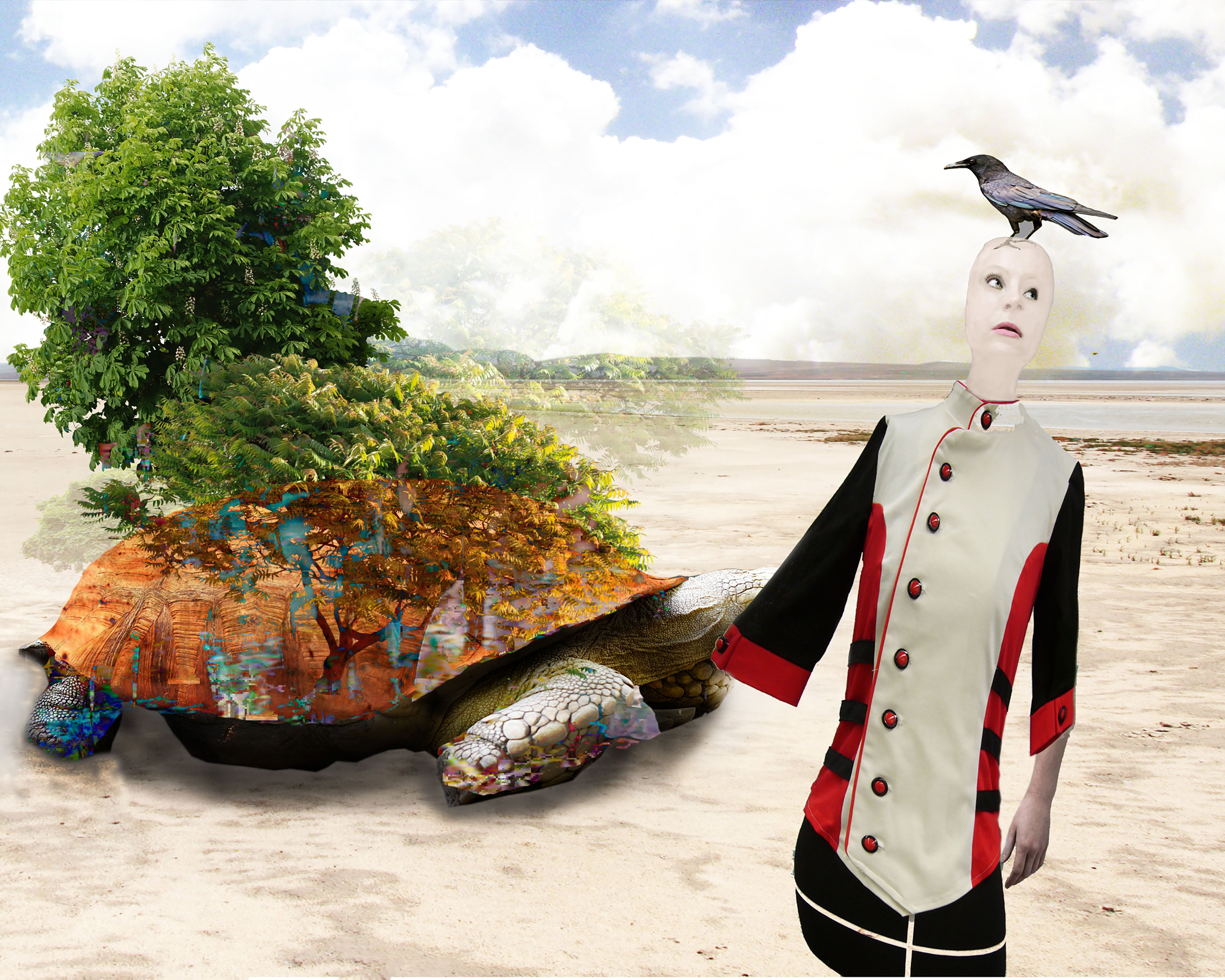 Turtle Island Geert Lemmers