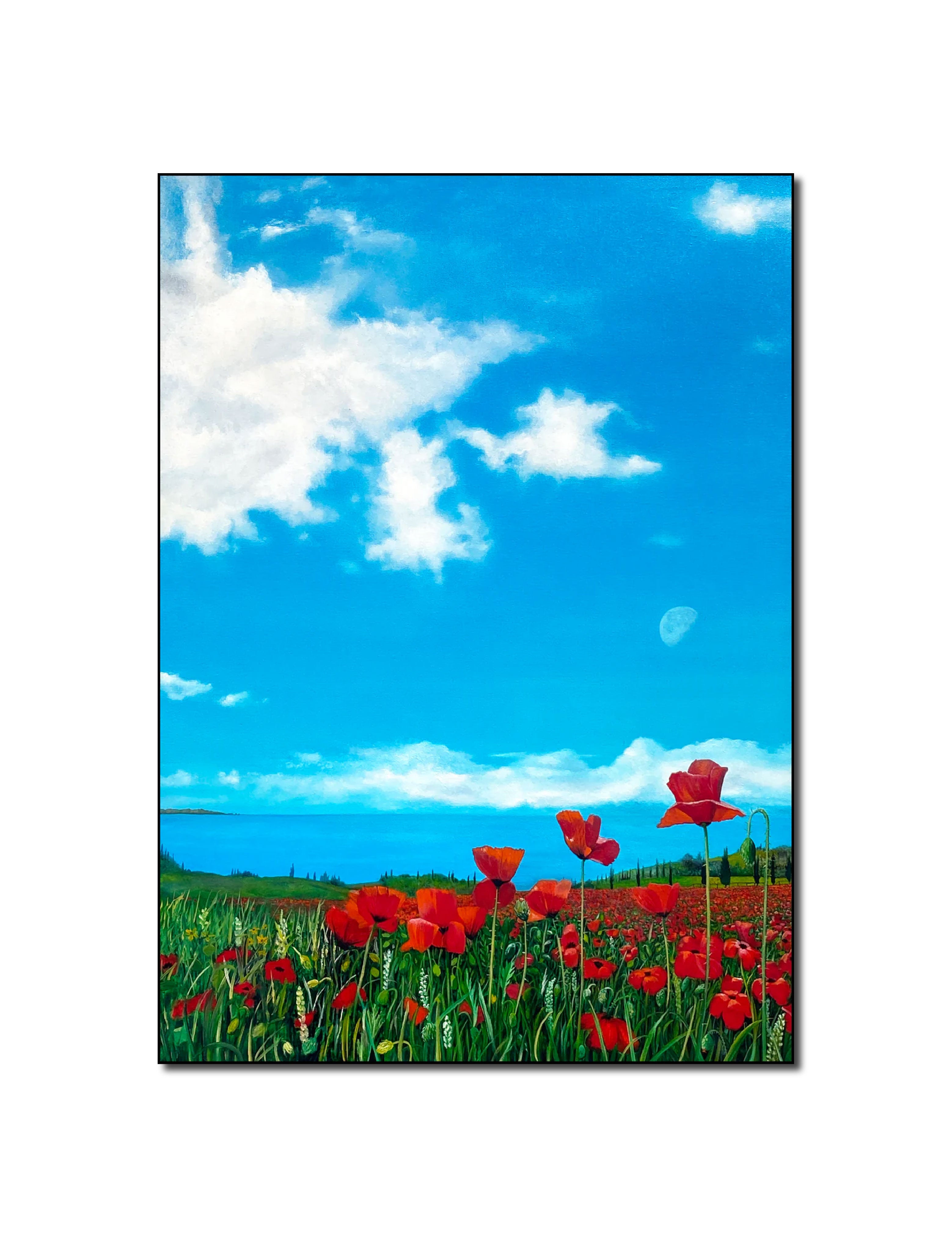 Oil 'POPPIES ON ELBA' - Oil on Canvas Matthew Holden Bates