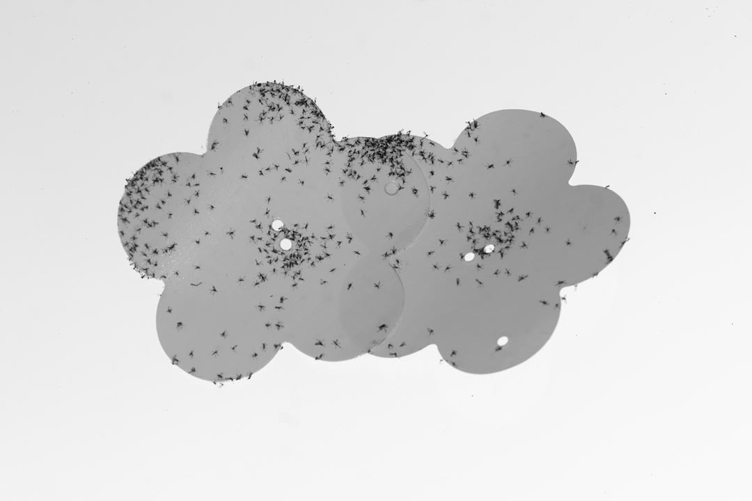 'GRADIENT LOSS - 7TH OF APRIL 2025 (13:36)'