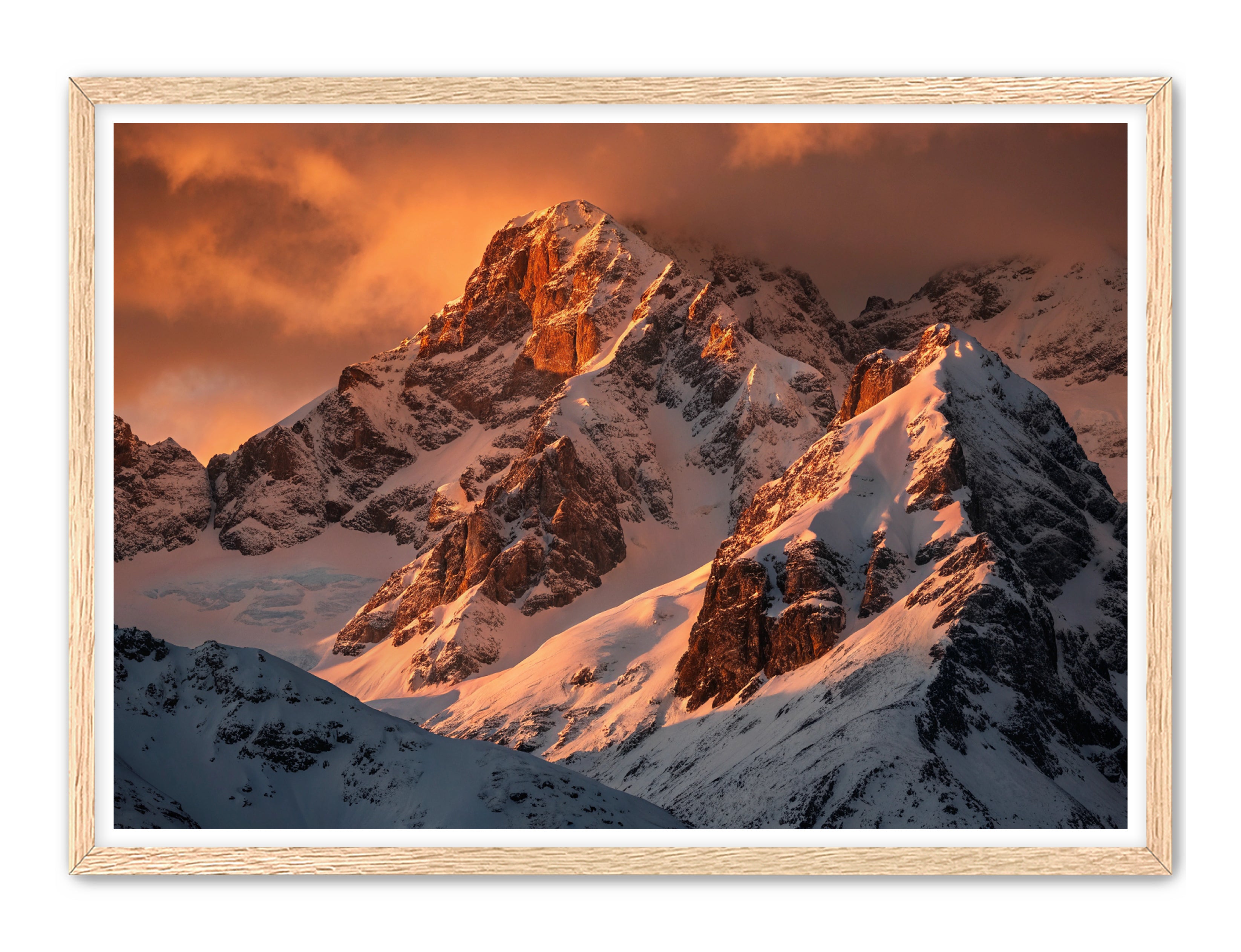 Apricus Prints 'Crimson Crown of the Himalayas' Apricus Art Collection