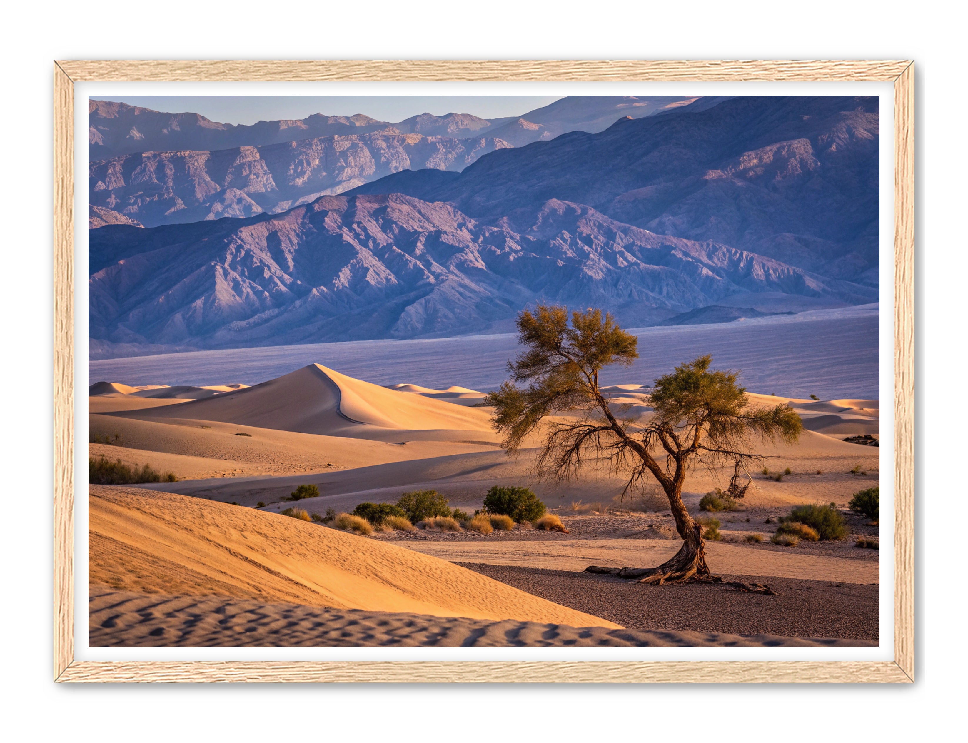 Apricus Prints 'Alone in the Desert' Apricus Art Collection