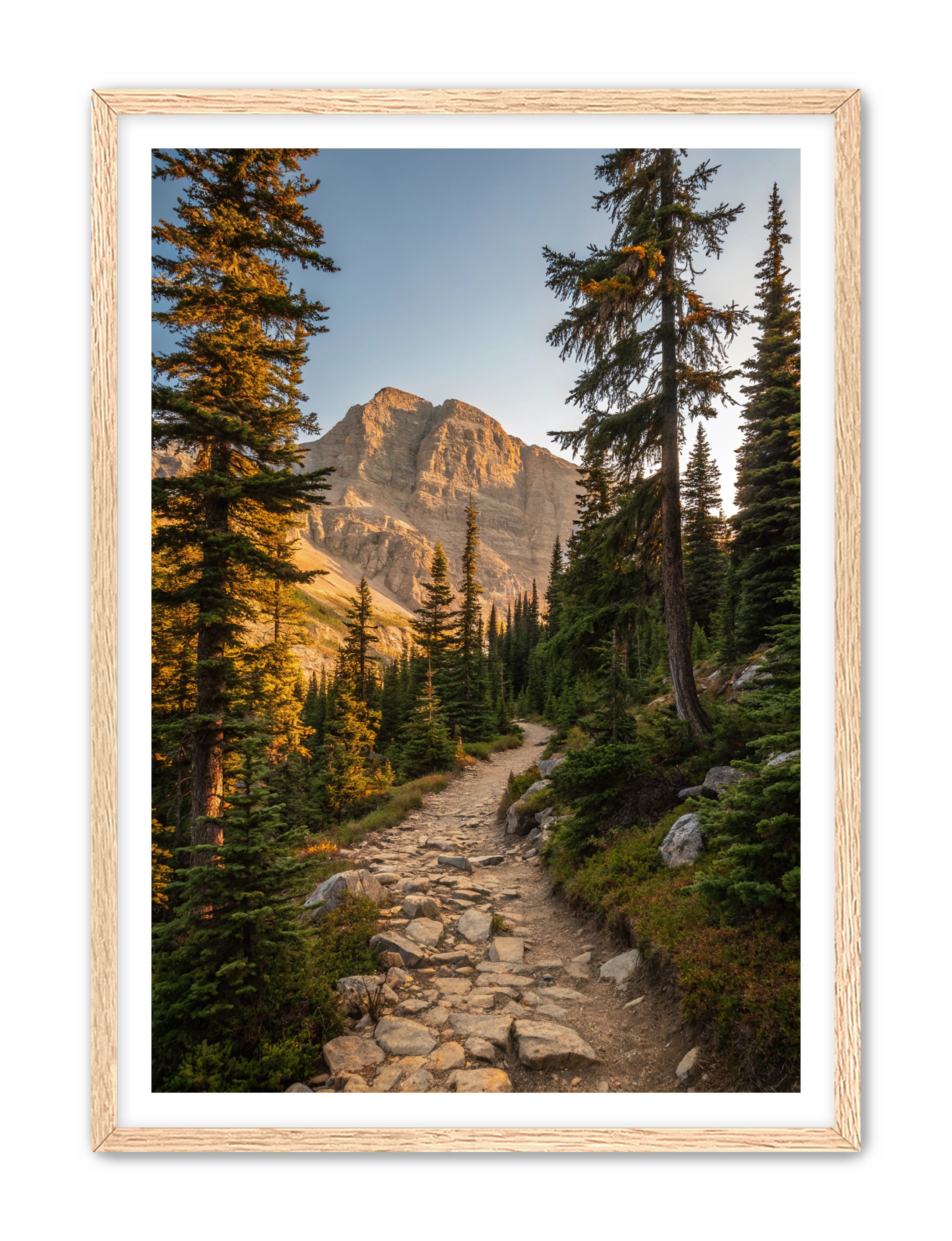 Apricus Prints 'Rocky Mountain Way' Apricus Art Collection