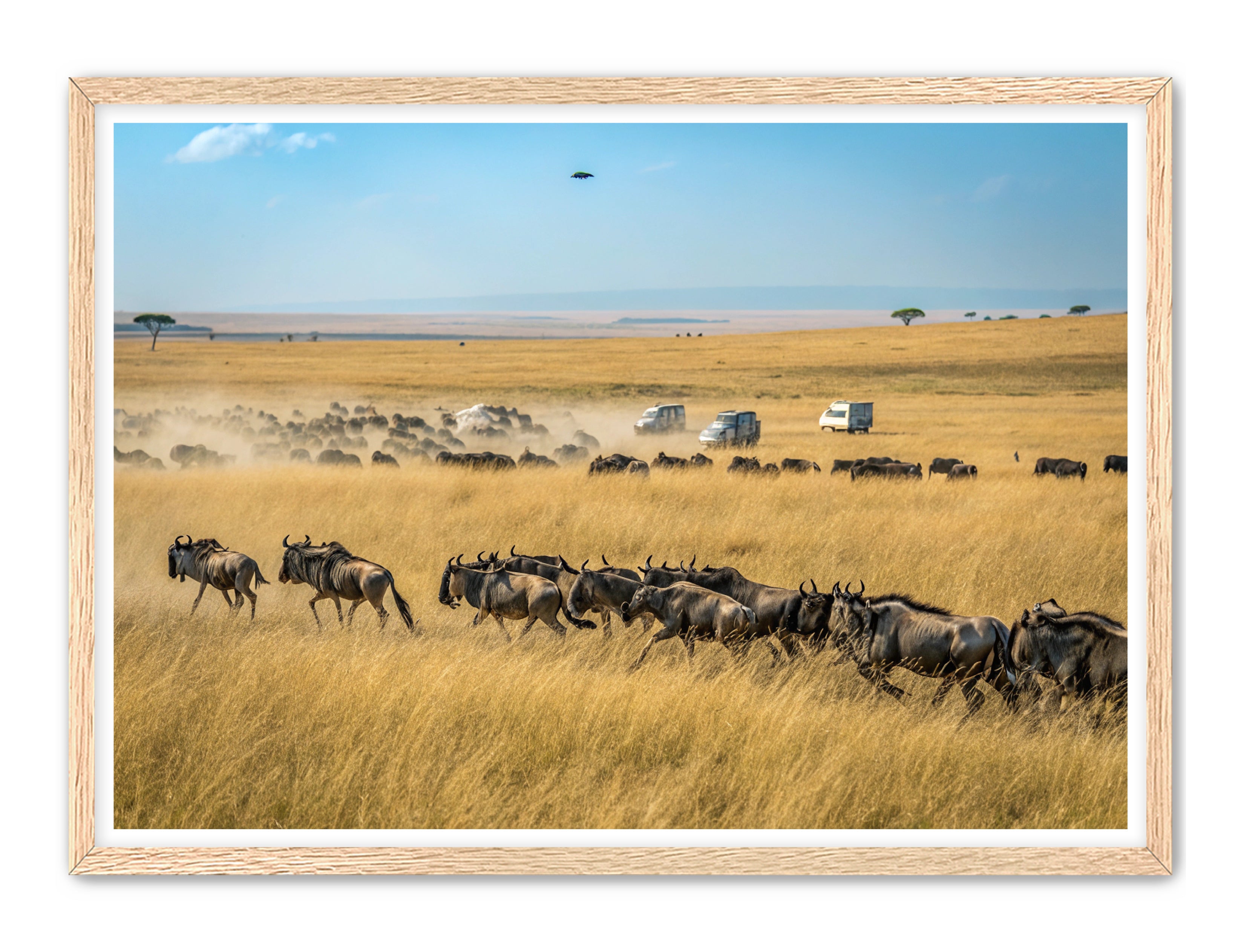 Apricus Prints 'Serengeti Stampede' Apricus Art Collection