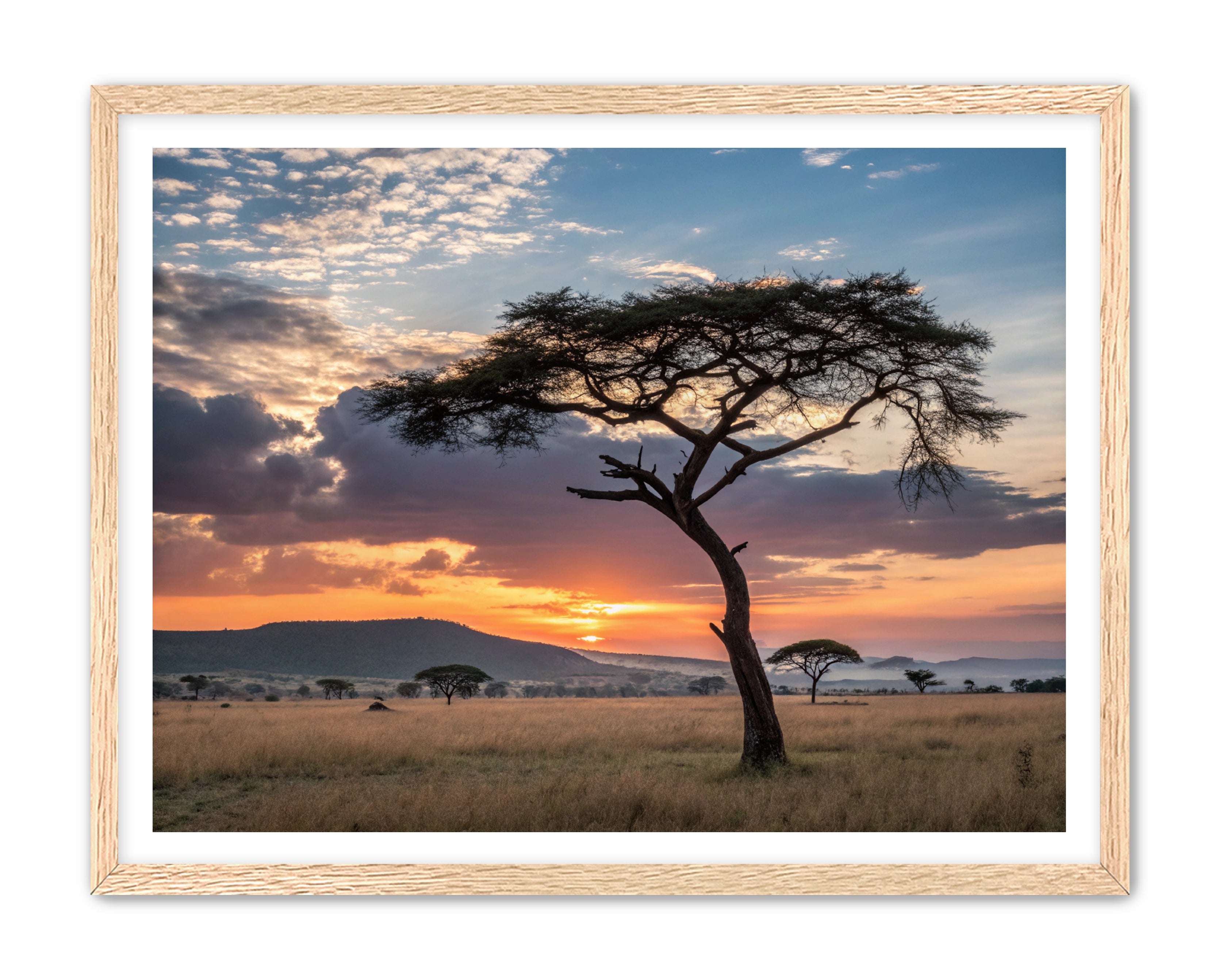 Apricus Prints 'Sunset on the Grounds' Apricus Art Collection